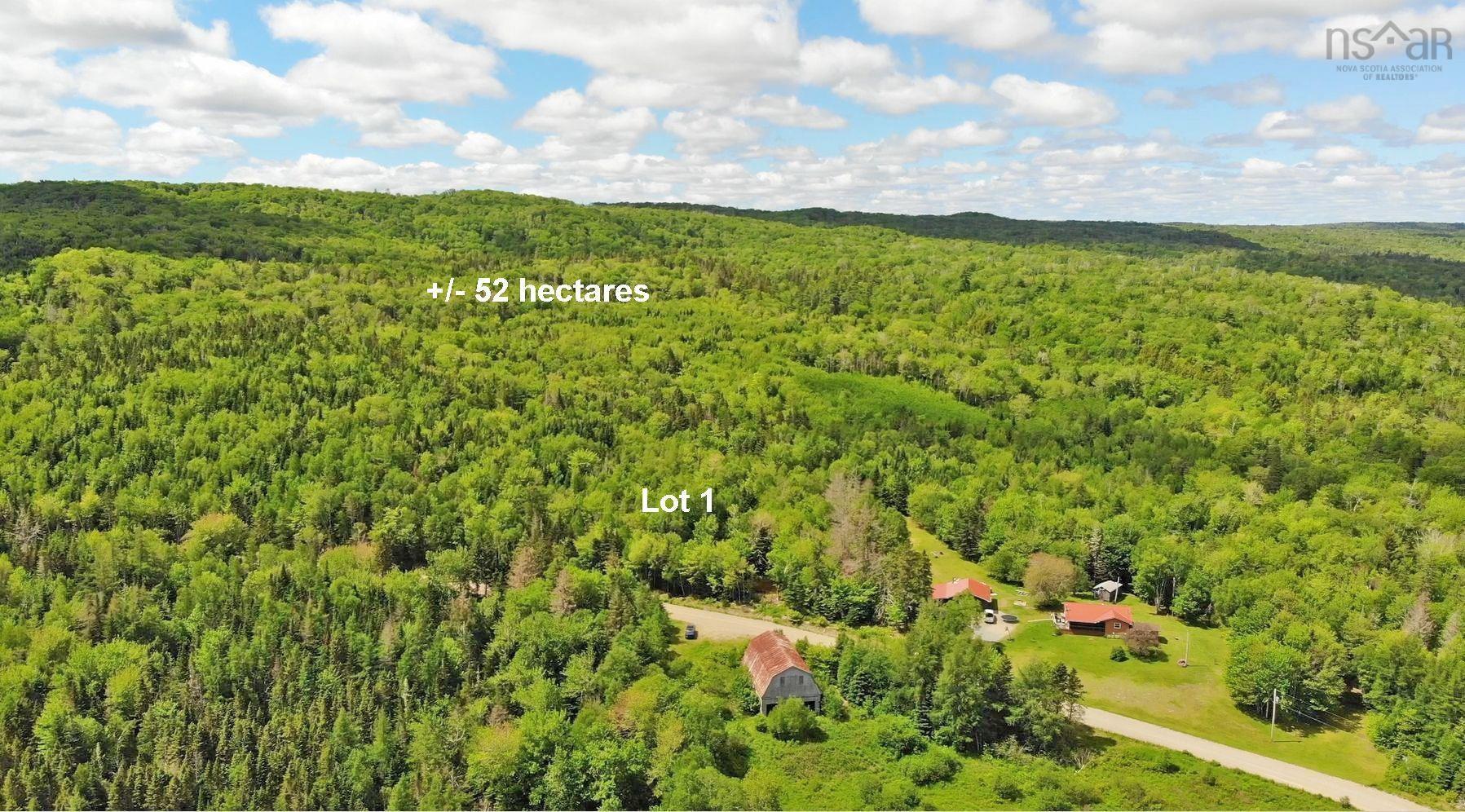 $225,000.00: 131 Acres West Side Road, West Side Country Harbour