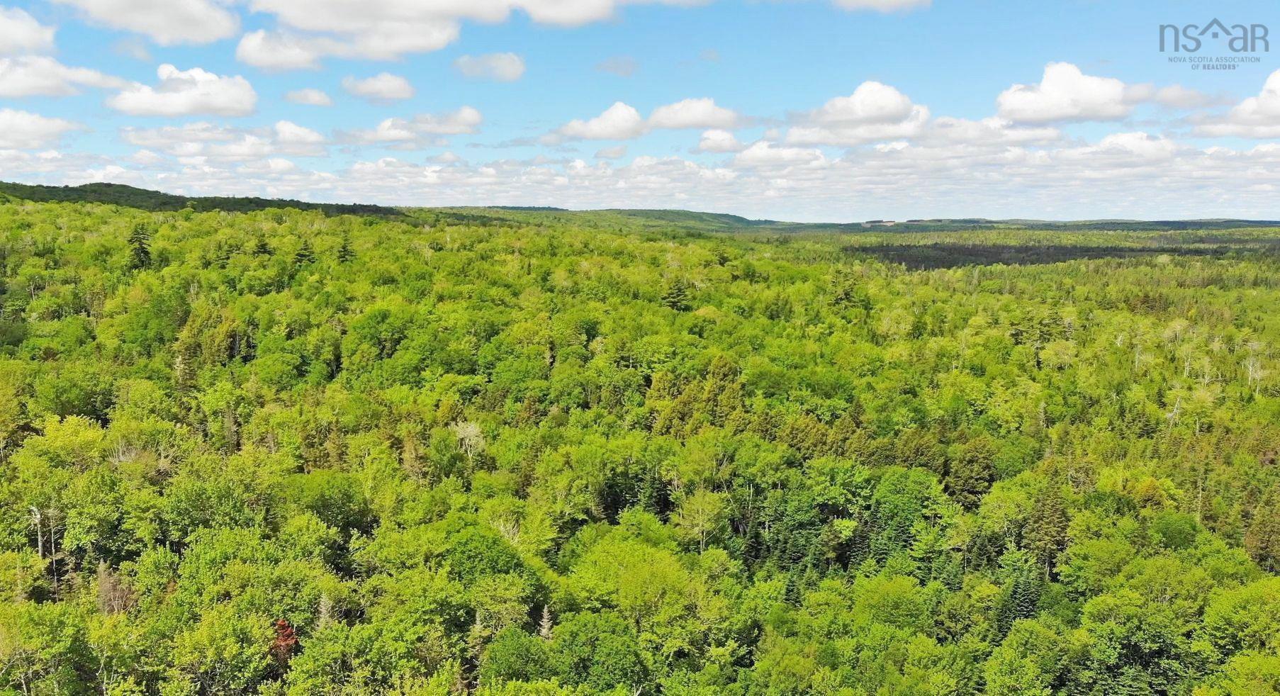$225,000.00: 131 Acres West Side Road, West Side Country Harbour