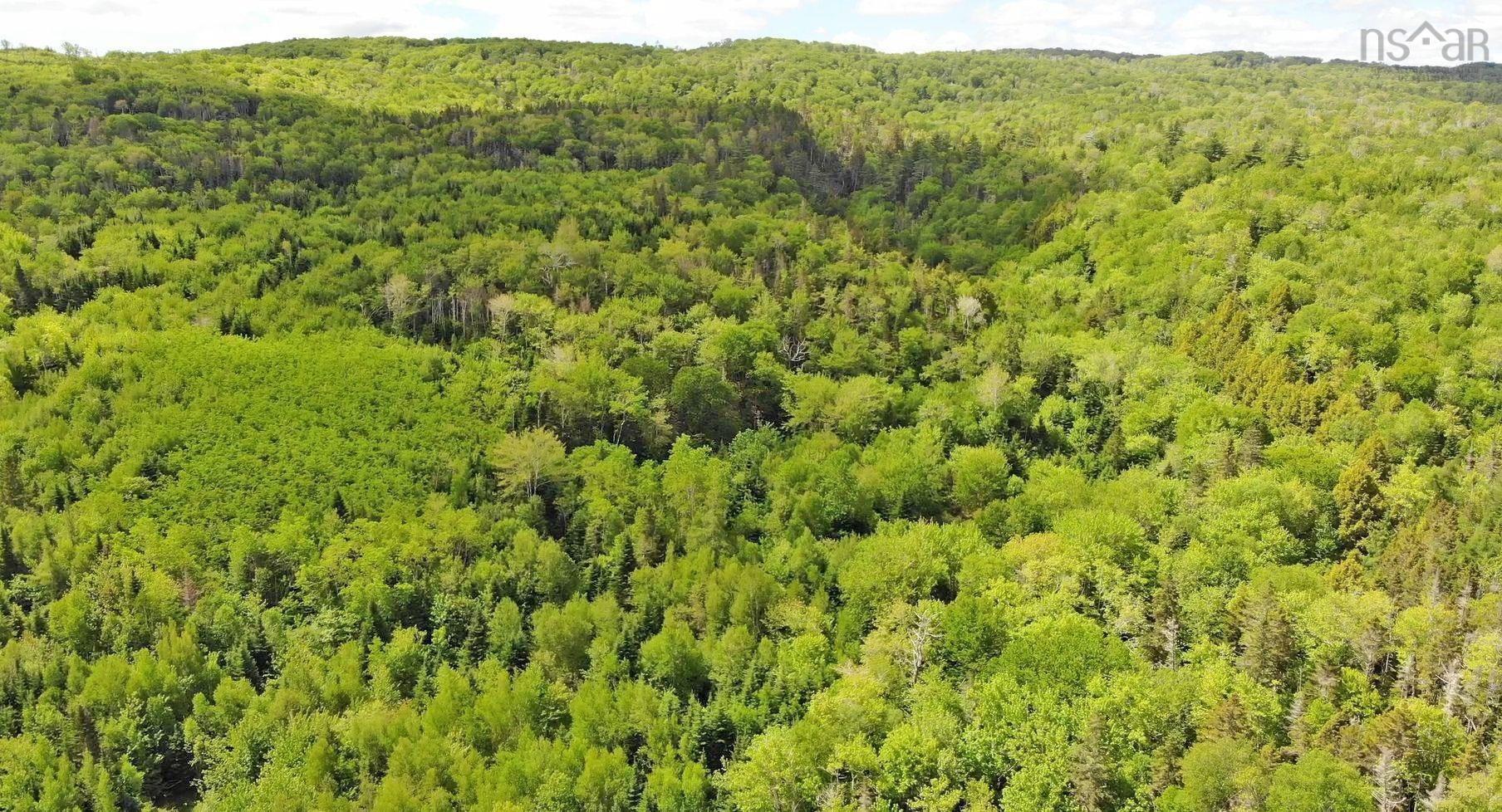 $225,000.00: 131 Acres West Side Road, West Side Country Harbour