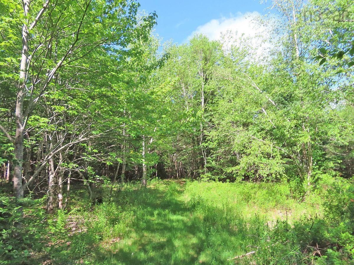 $225,000.00: 131 Acres West Side Road, West Side Country Harbour