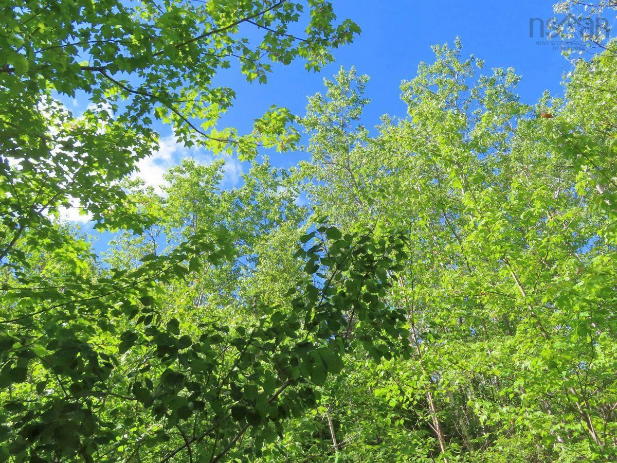 $225,000.00: 131 Acres West Side Road, West Side Country Harbour
