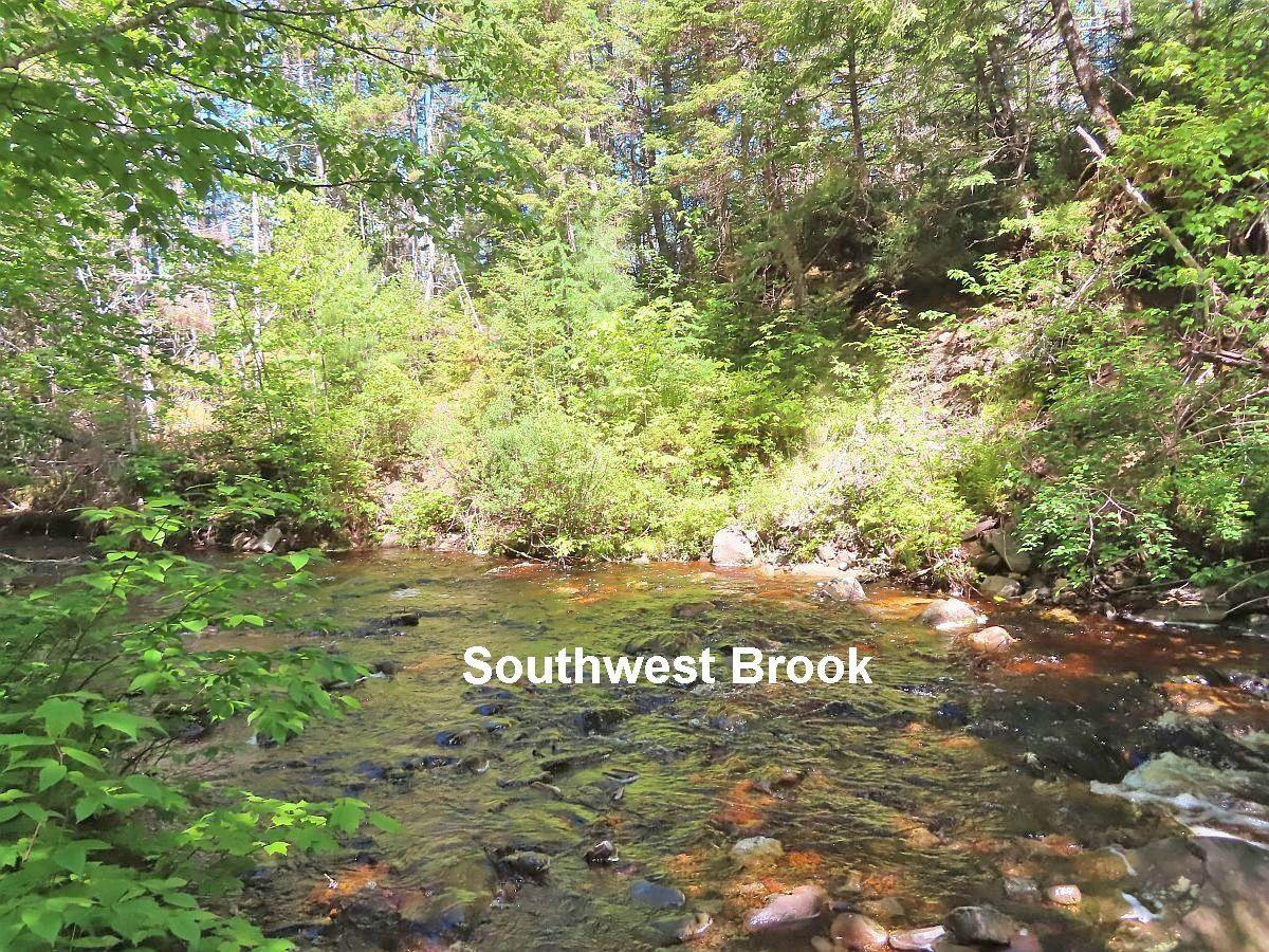 $225,000.00: 131 Acres West Side Road, West Side Country Harbour
