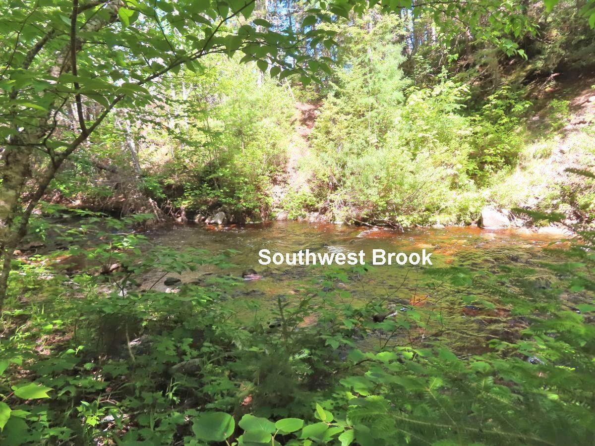 $225,000.00: 131 Acres West Side Road, West Side Country Harbour
