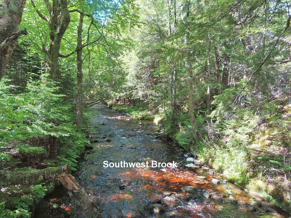 $225,000.00: 131 Acres West Side Road, West Side Country Harbour