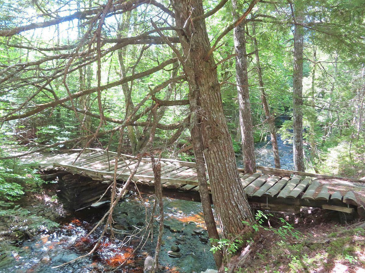 $225,000.00: 131 Acres West Side Road, West Side Country Harbour