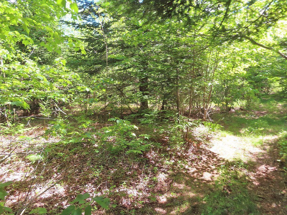 $225,000.00: 131 Acres West Side Road, West Side Country Harbour