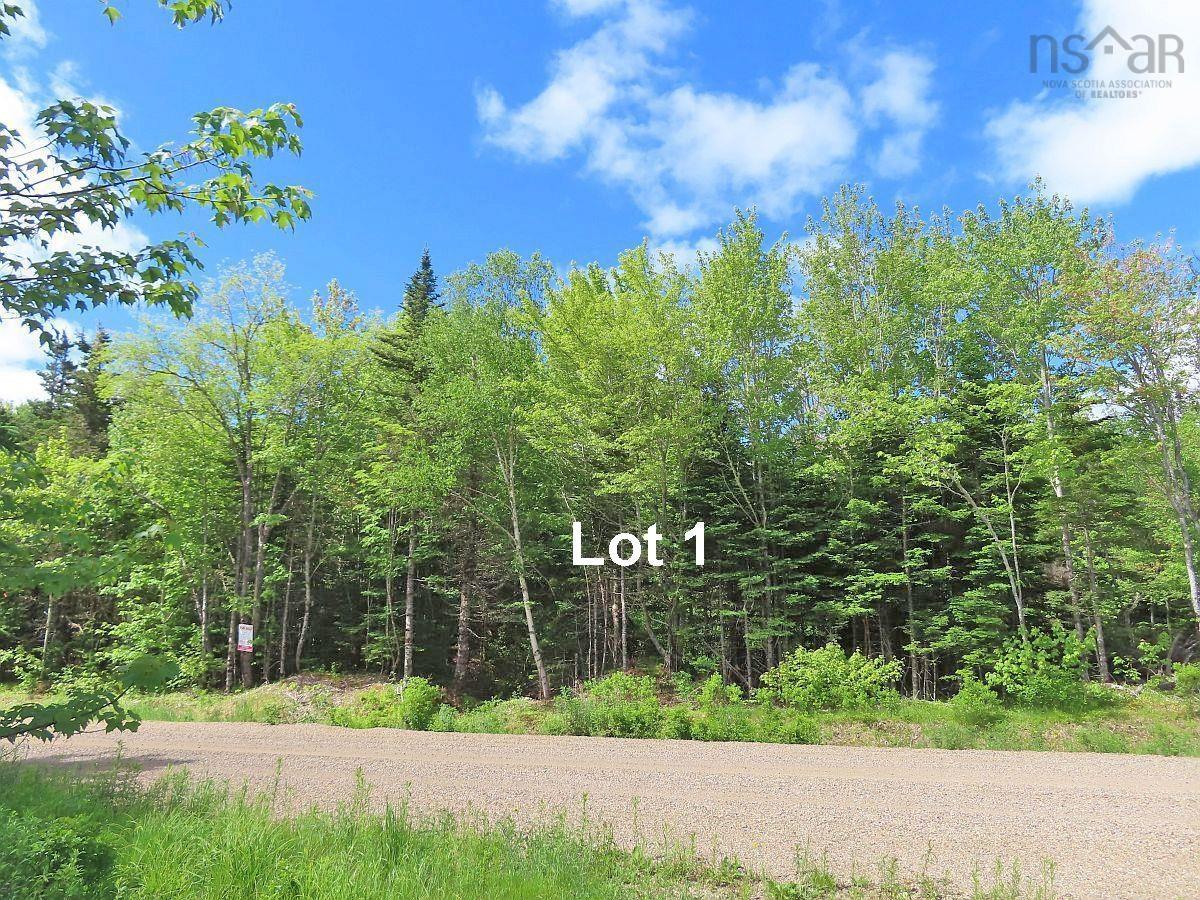 $225,000.00: 131 Acres West Side Road, West Side Country Harbour