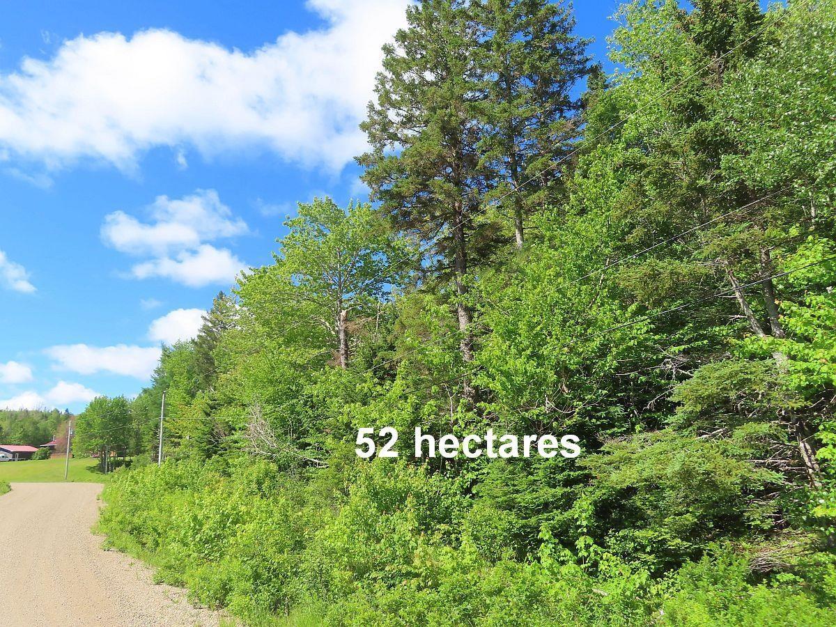 $225,000.00: 131 Acres West Side Road, West Side Country Harbour