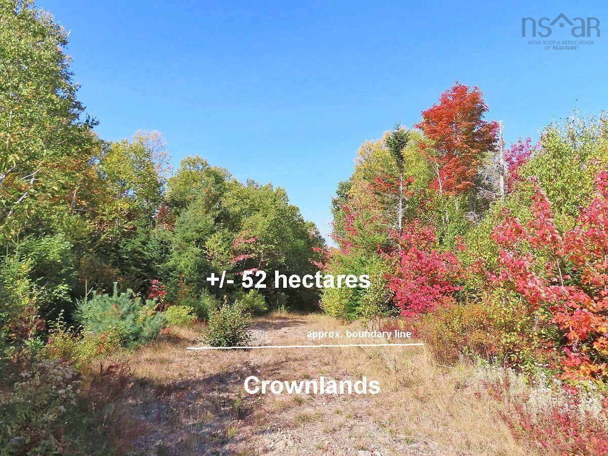 $225,000.00: 131 Acres West Side Road, West Side Country Harbour