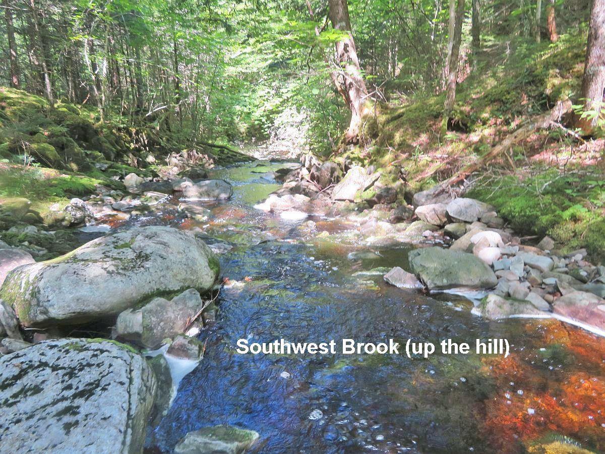 $225,000.00: 131 Acres West Side Road, West Side Country Harbour