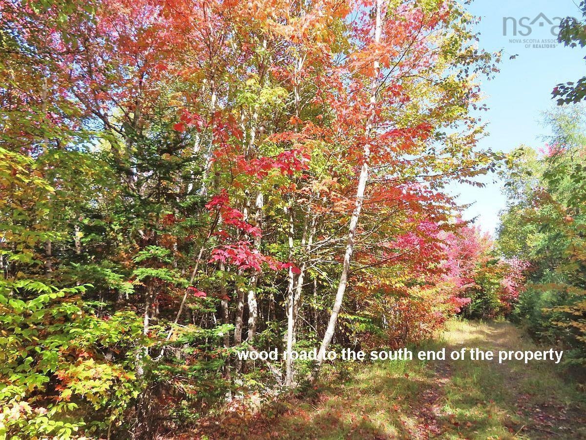 $225,000.00: 131 Acres West Side Road, West Side Country Harbour