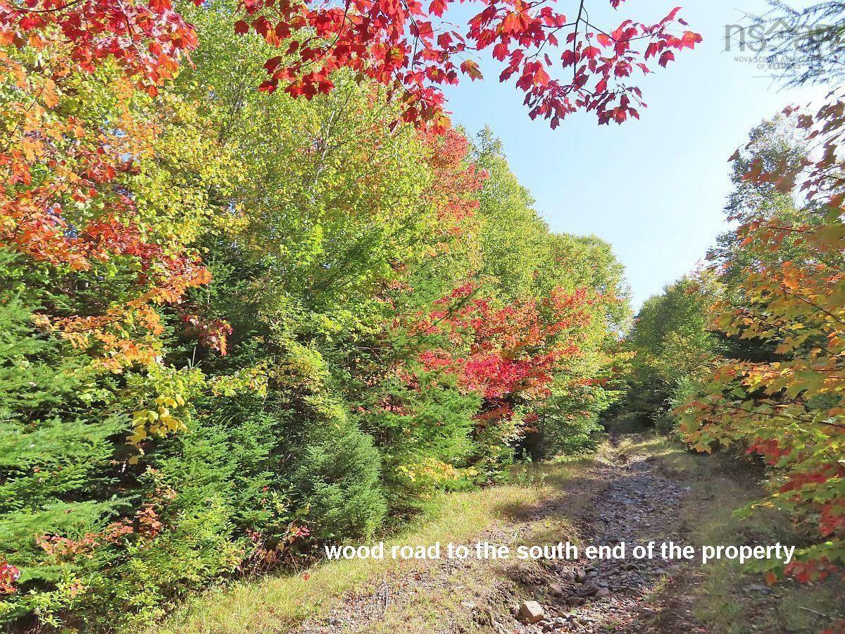 $225,000.00: 131 Acres West Side Road, West Side Country Harbour