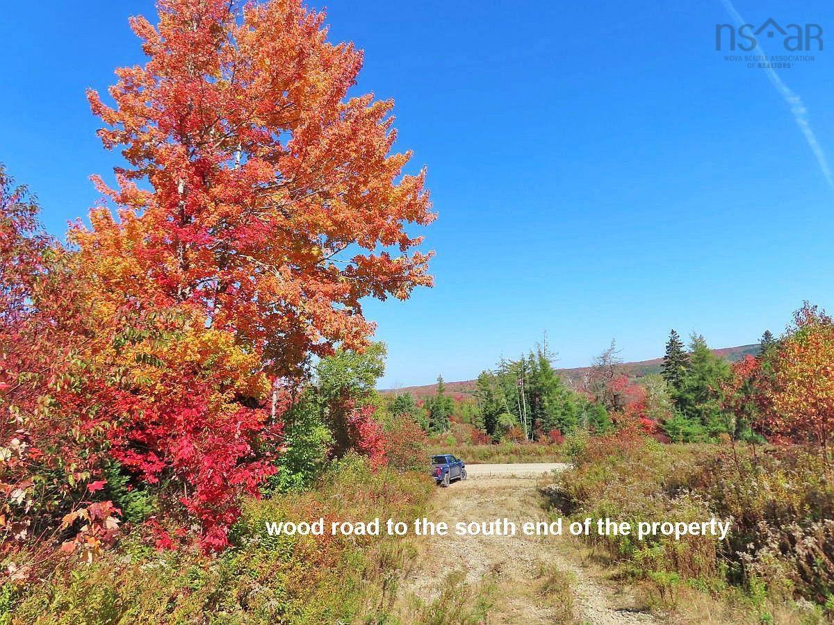 $225,000.00: 131 Acres West Side Road, West Side Country Harbour