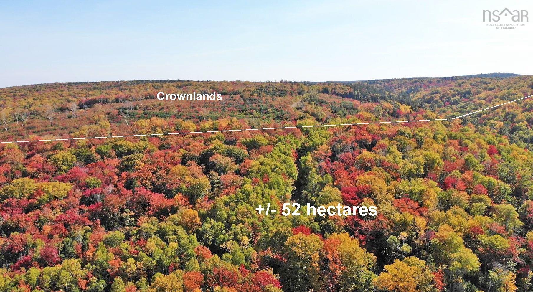 $225,000.00: 131 Acres West Side Road, West Side Country Harbour