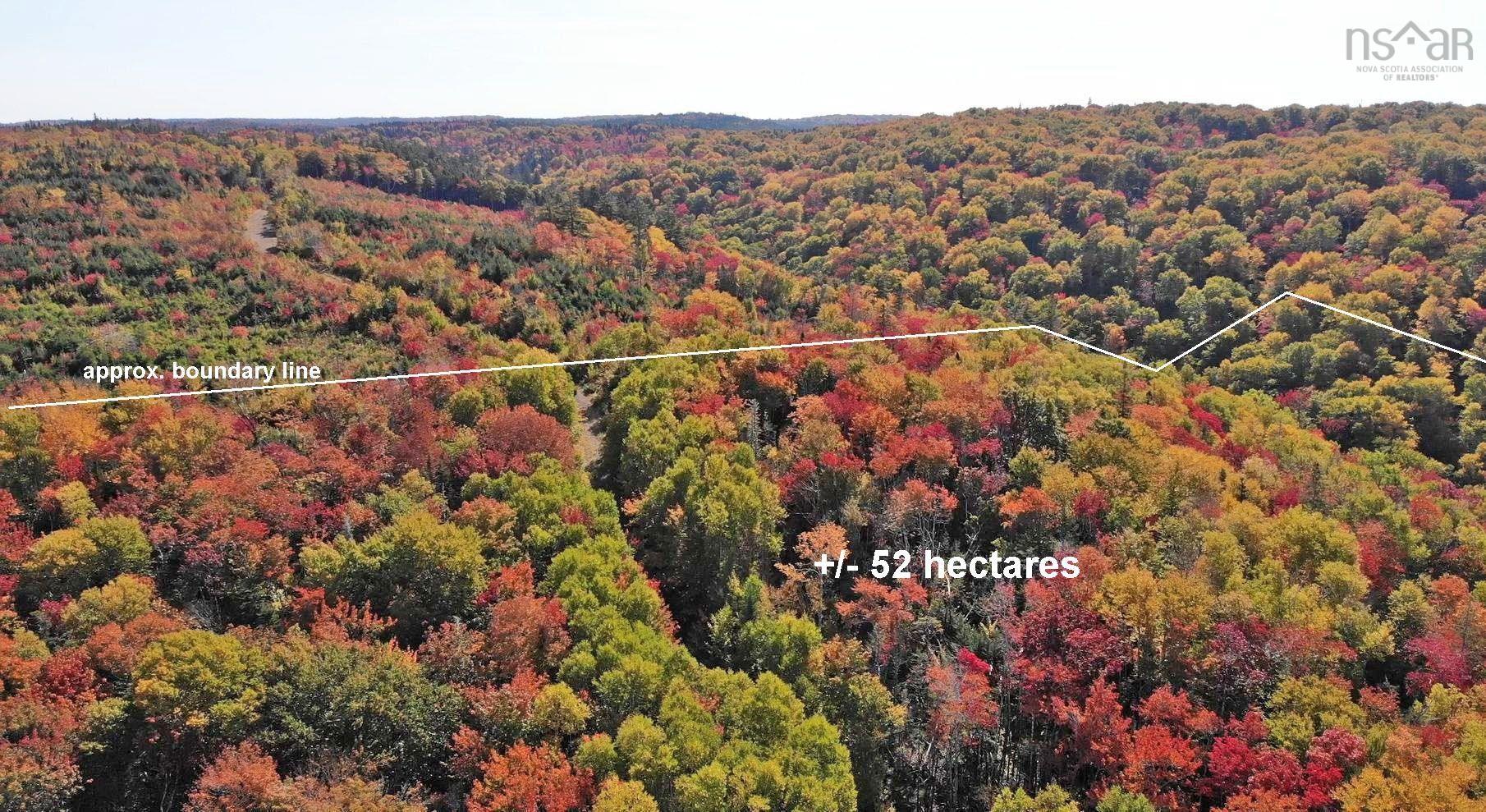 $225,000.00: 131 Acres West Side Road, West Side Country Harbour