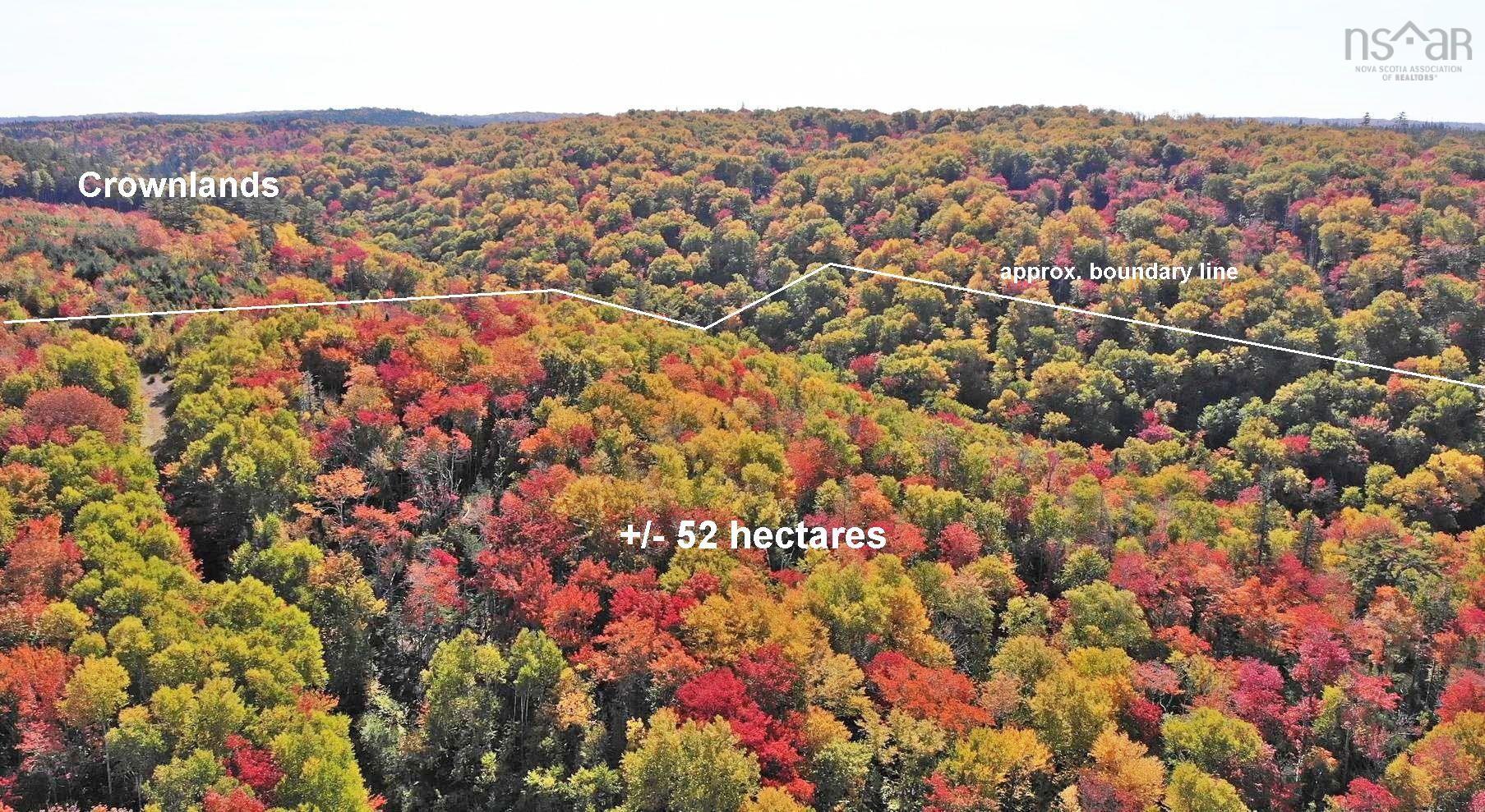 $225,000.00: 131 Acres West Side Road, West Side Country Harbour