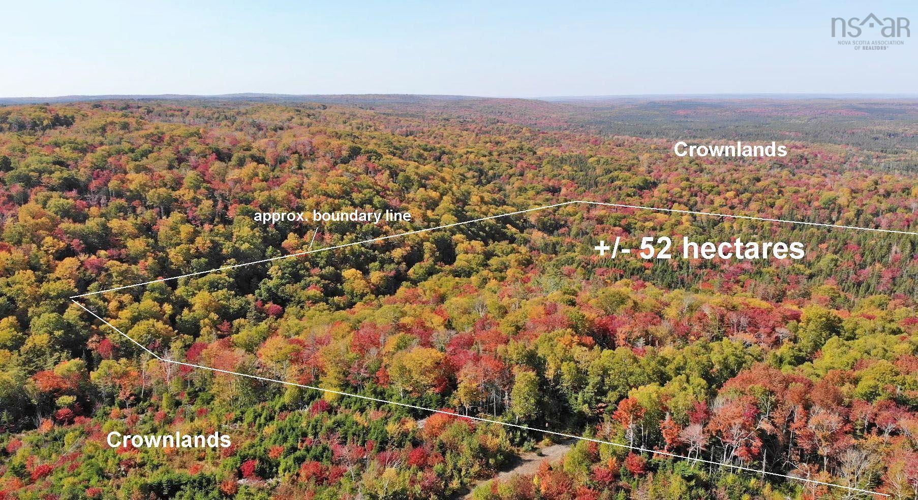 $225,000.00: 131 Acres West Side Road, West Side Country Harbour