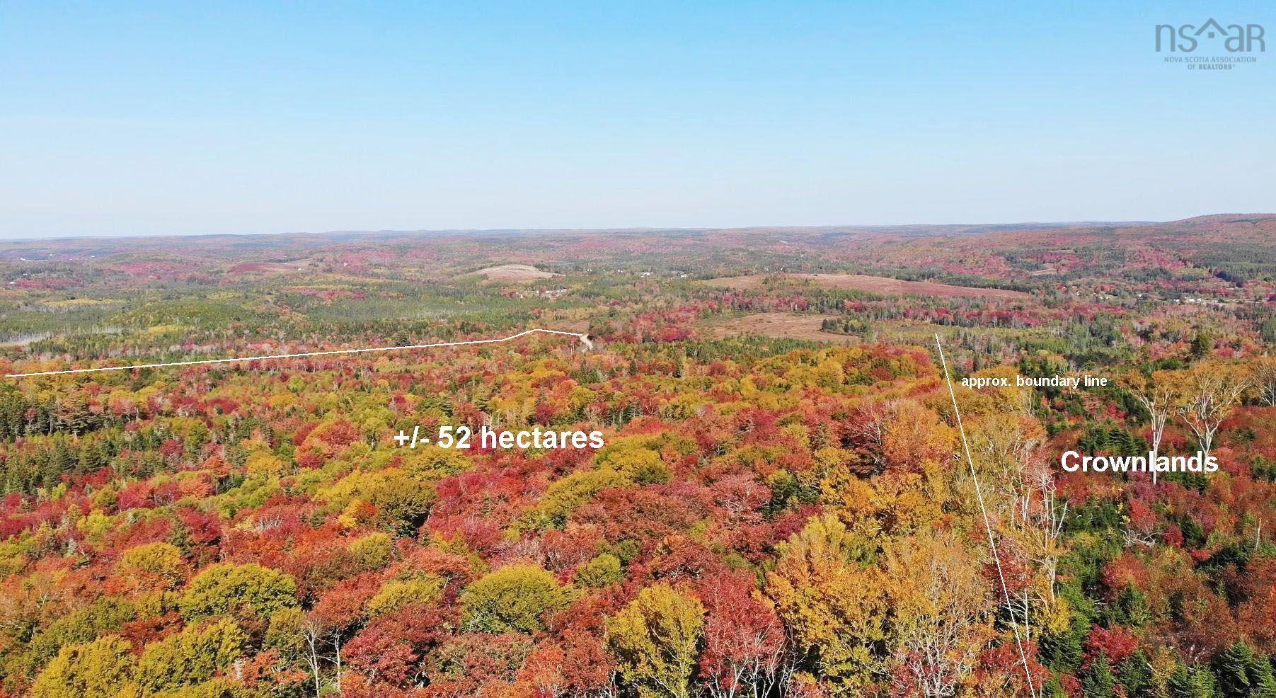 $225,000.00: 131 Acres West Side Road, West Side Country Harbour