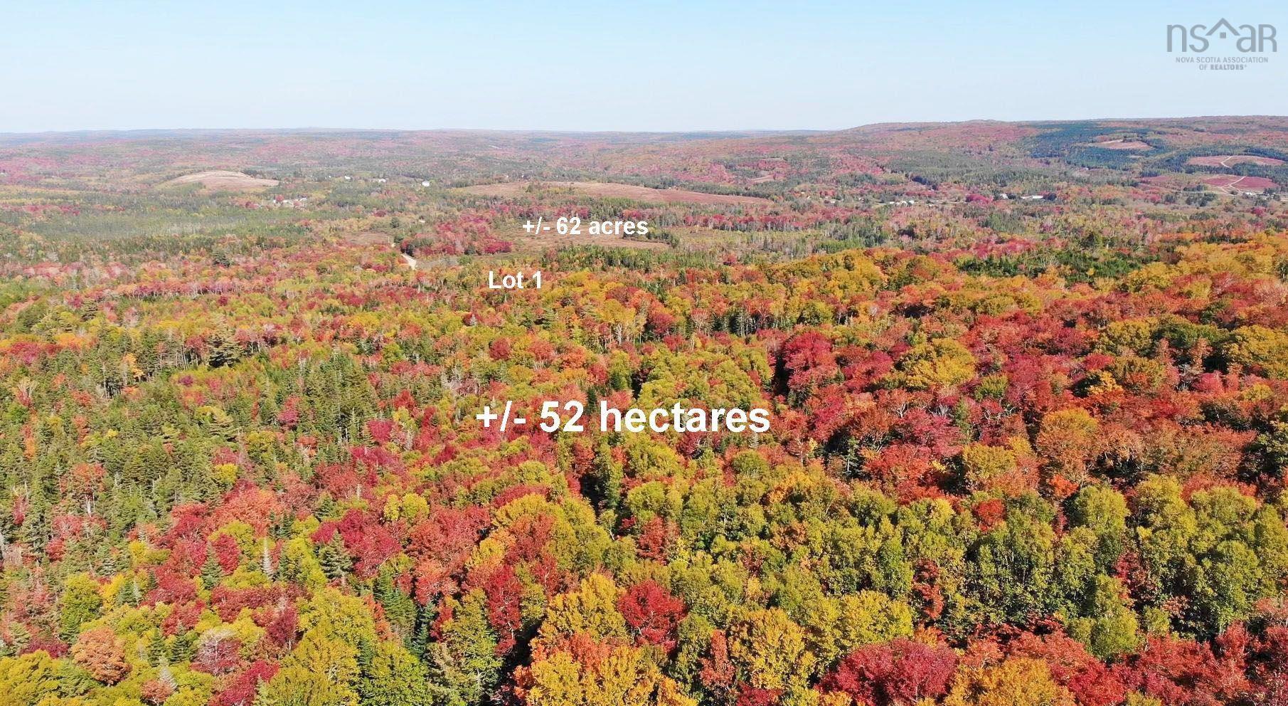 $225,000.00: 131 Acres West Side Road, West Side Country Harbour