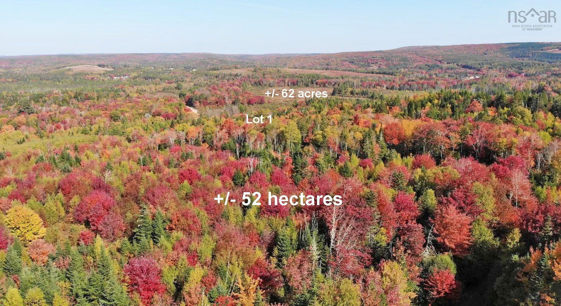 $225,000.00: 131 Acres West Side Road, West Side Country Harbour