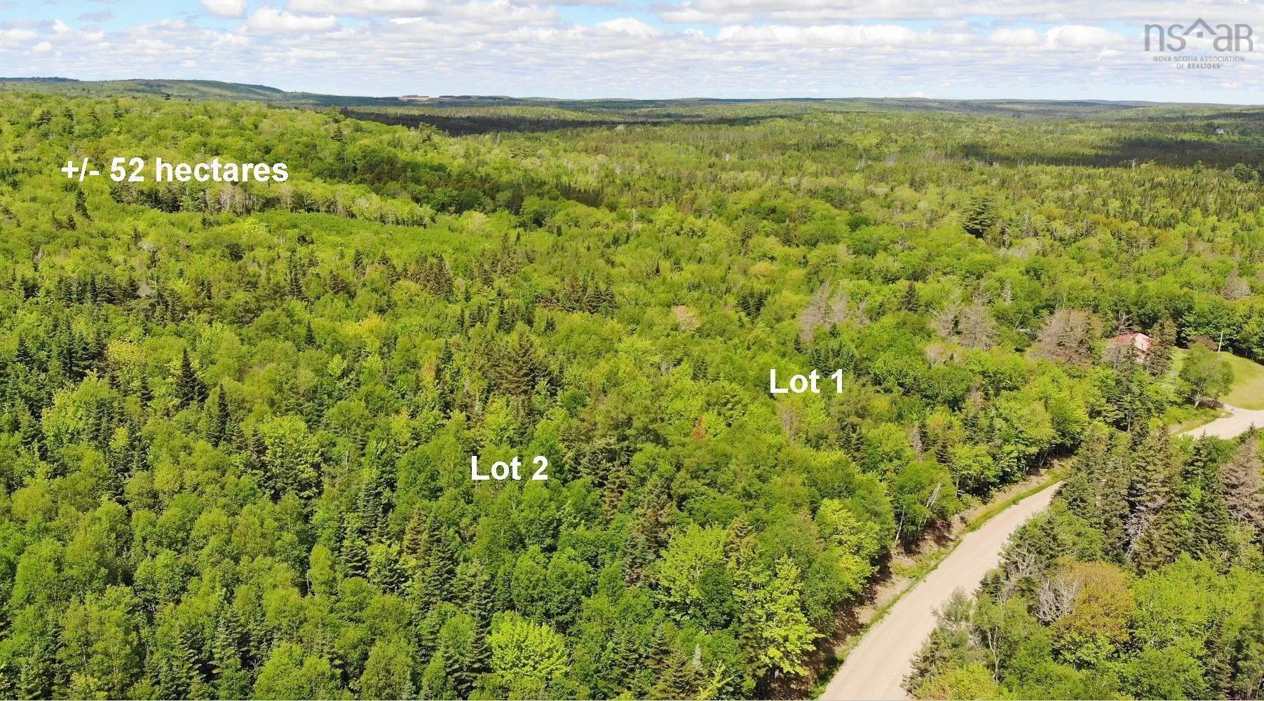 $225,000.00: 131 Acres West Side Road, West Side Country Harbour