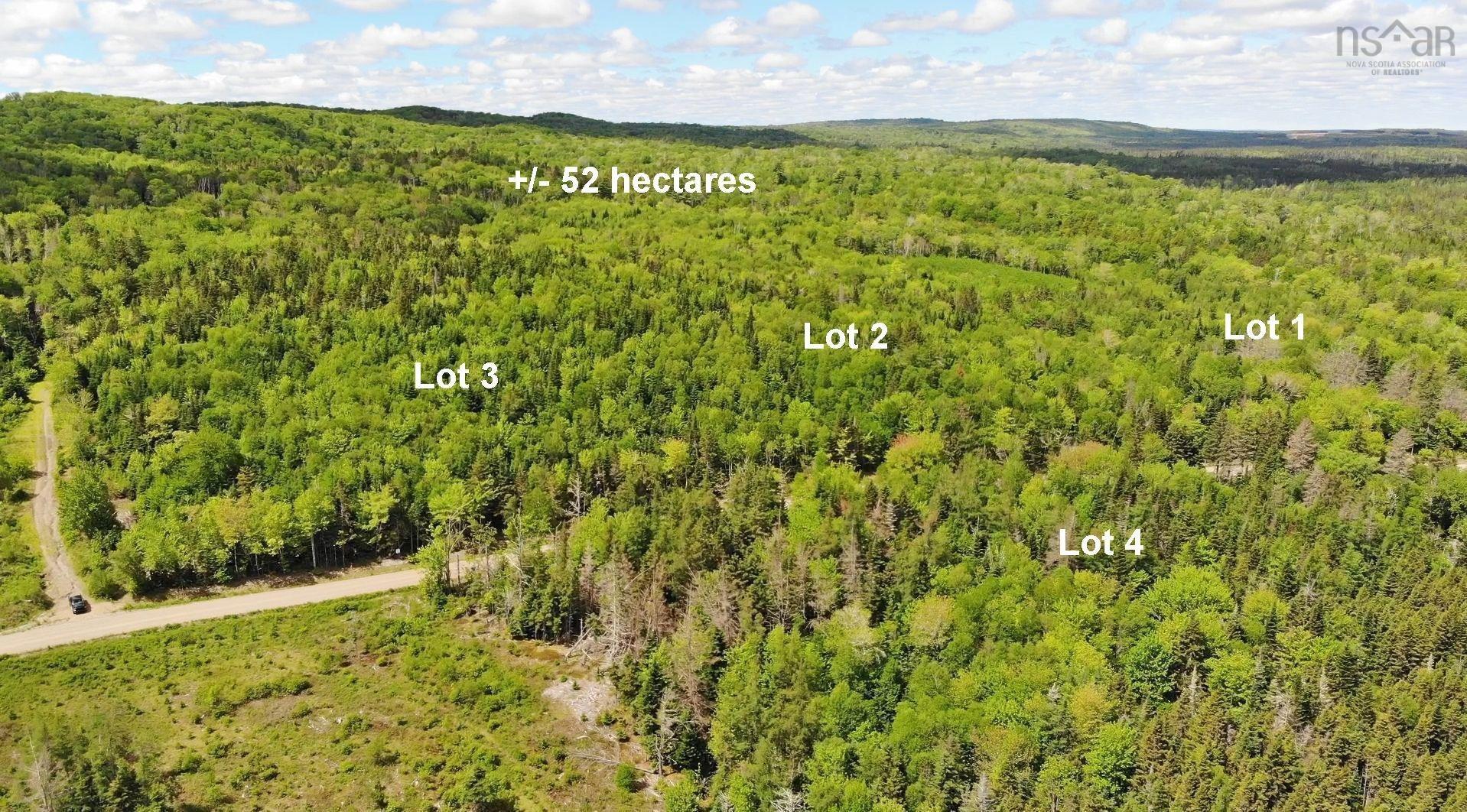 $225,000.00: 131 Acres West Side Road, West Side Country Harbour