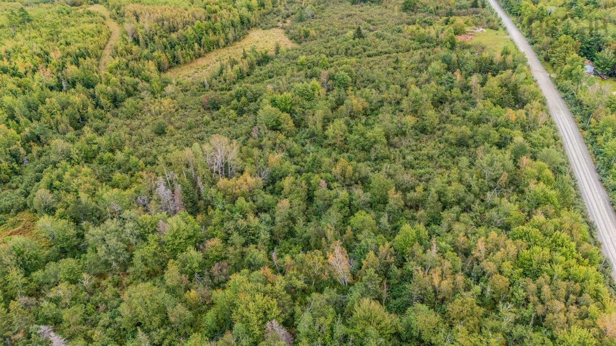 $48,000.00: Lot H4 LAKE Road, Mattatall Lake