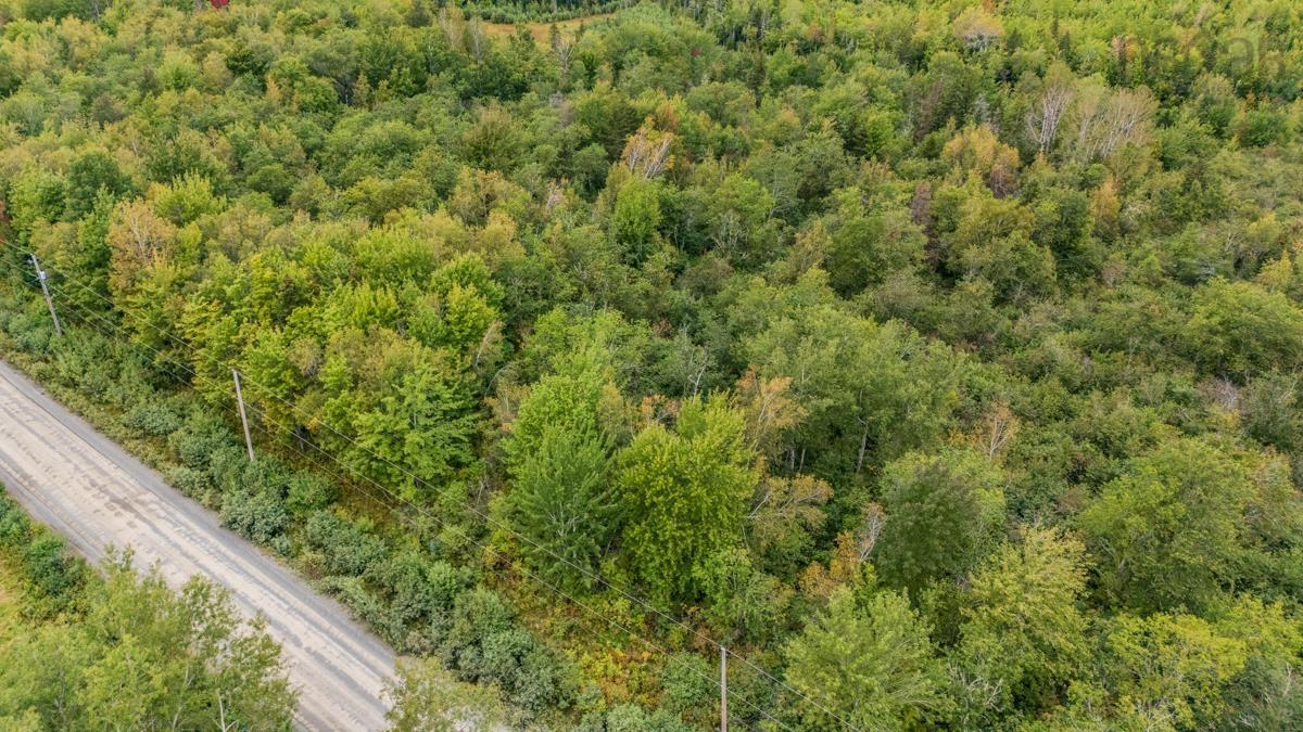 $48,000.00: Lot H4 LAKE Road, Mattatall Lake