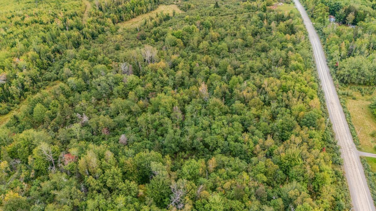 $45,000.00: Lot H5 LAKE Road, Mattatall Lake