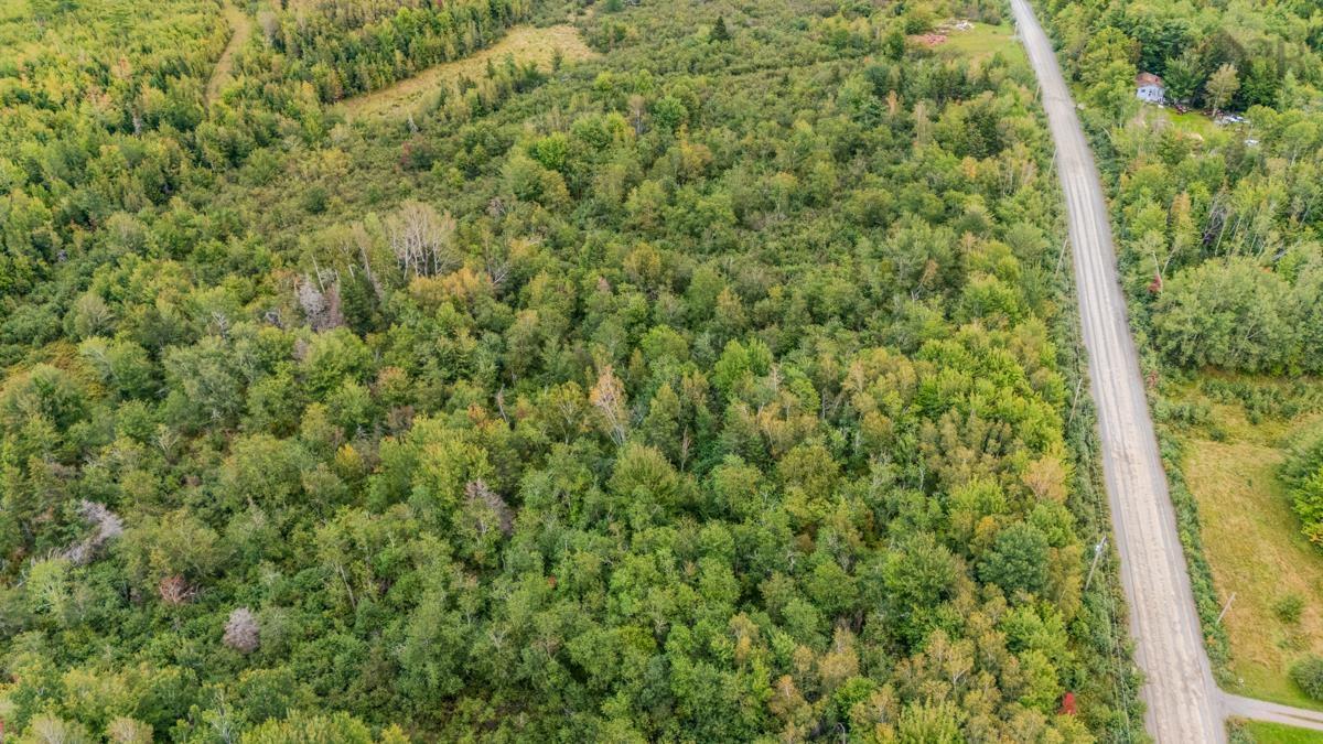 $45,000.00: Lot H5 LAKE Road, Mattatall Lake