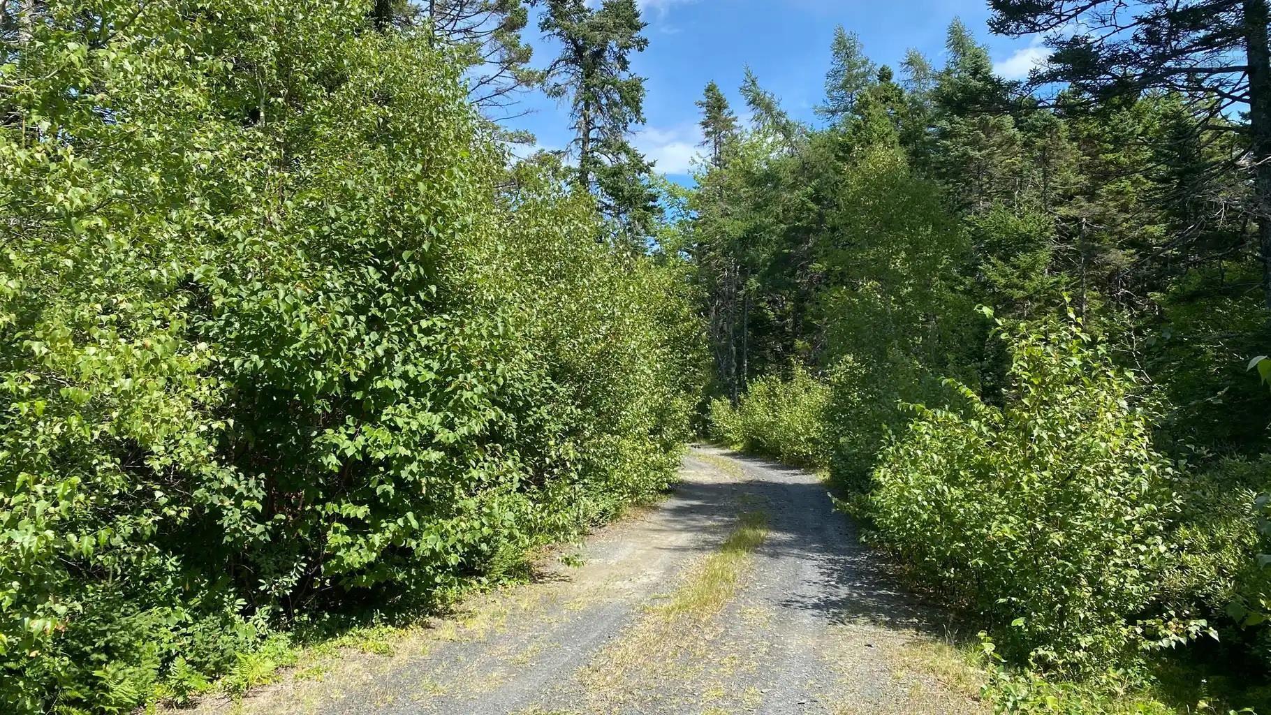$99,900.00: Lot AR Fishpeddlers Road, Indian Path
