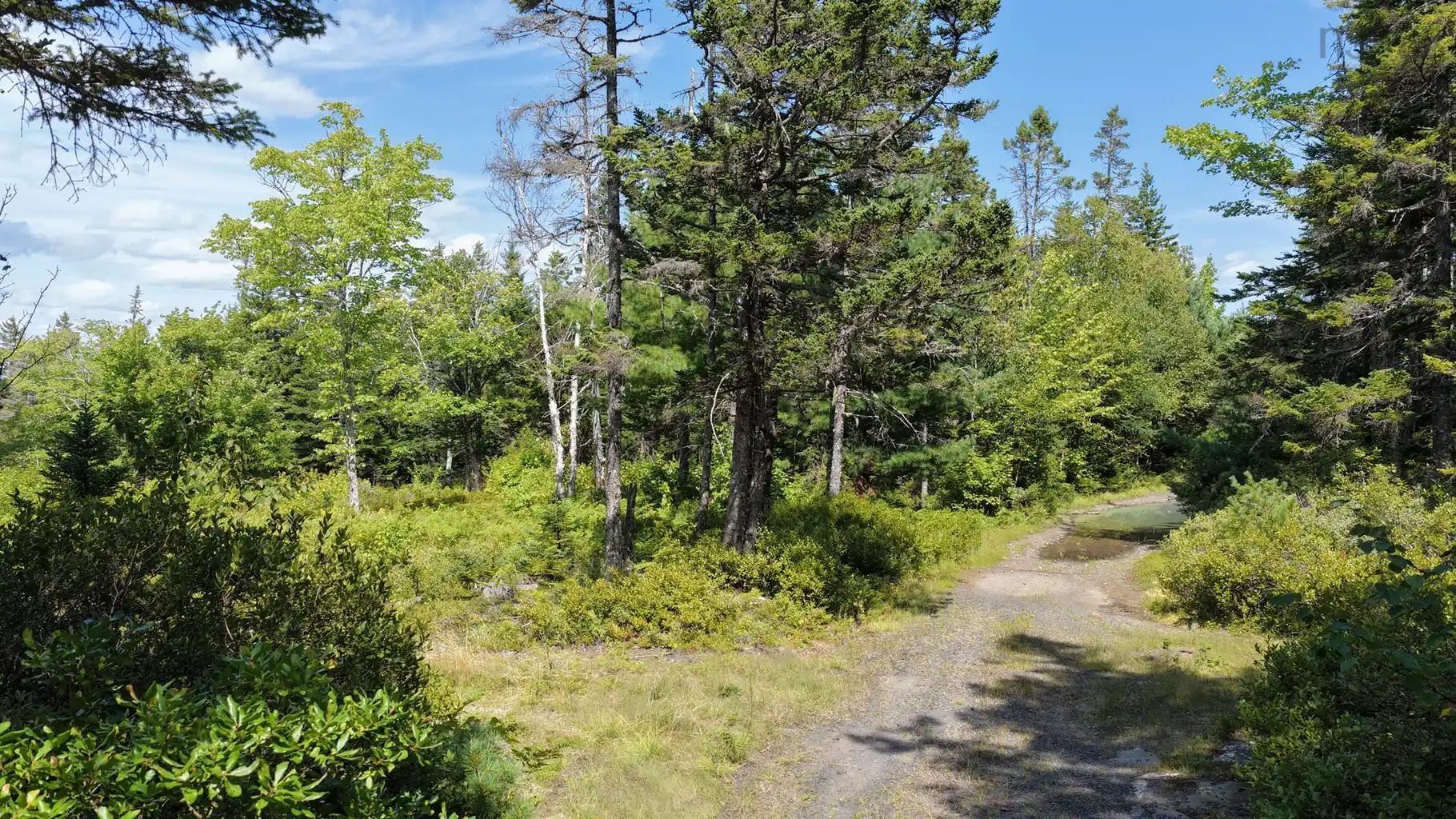 $99,900.00: Lot AR Fishpeddlers Road, Indian Path