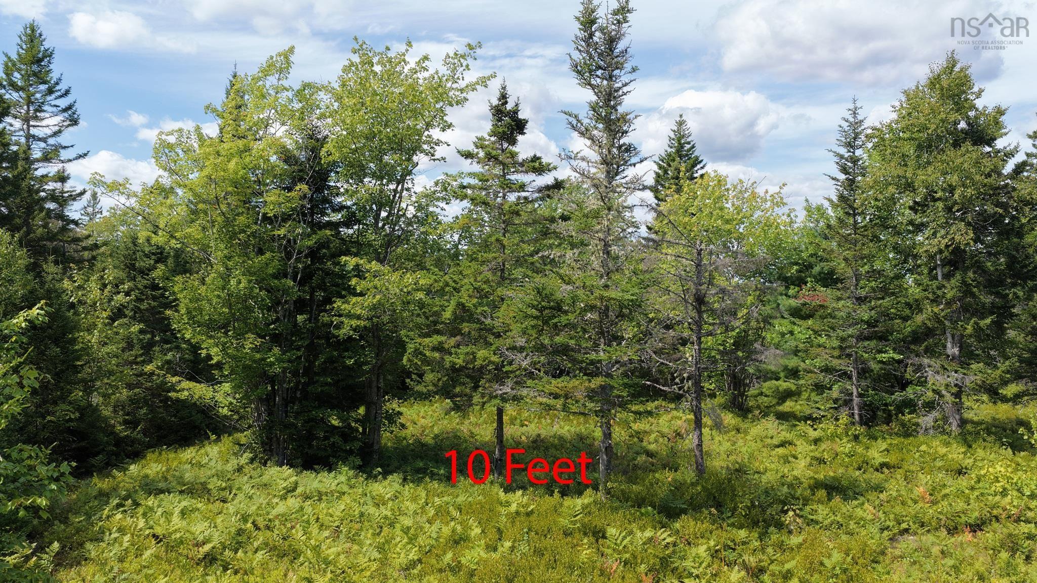 $99,900.00: Lot AR Fishpeddlers Road, Indian Path