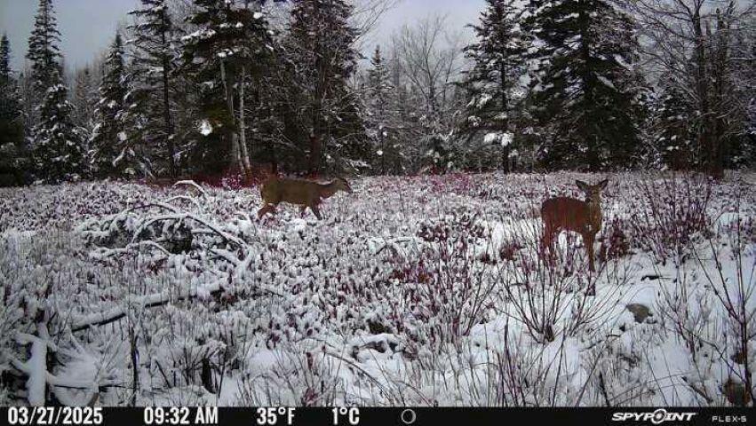 $99,900.00: Lot AR Fishpeddlers Road, Indian Path
