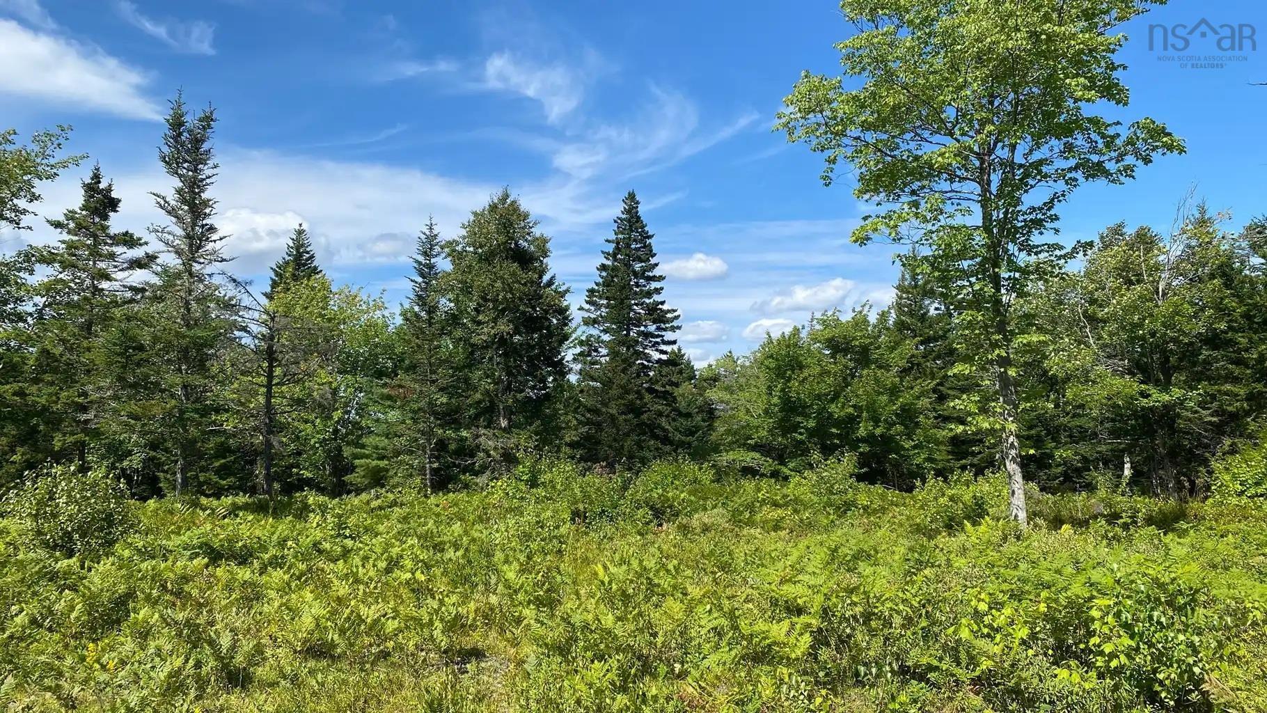 $99,900.00: Lot AR Fishpeddlers Road, Indian Path