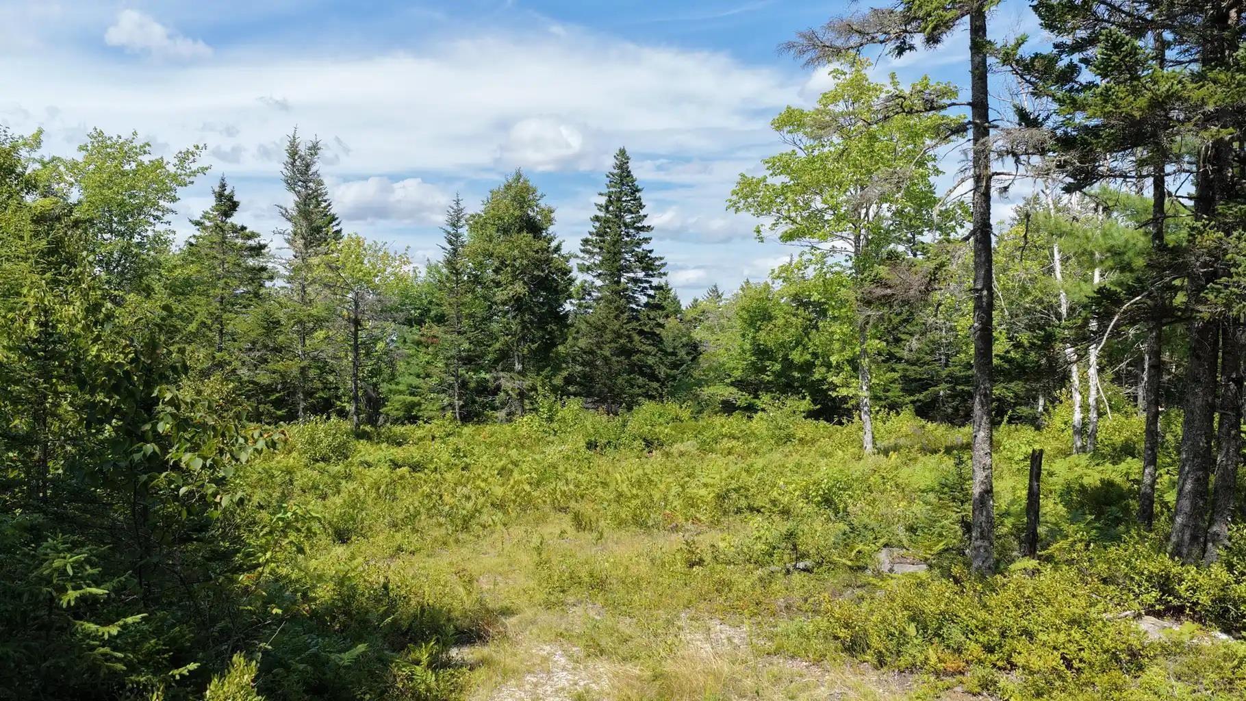 $99,900.00: Lot AR Fishpeddlers Road, Indian Path