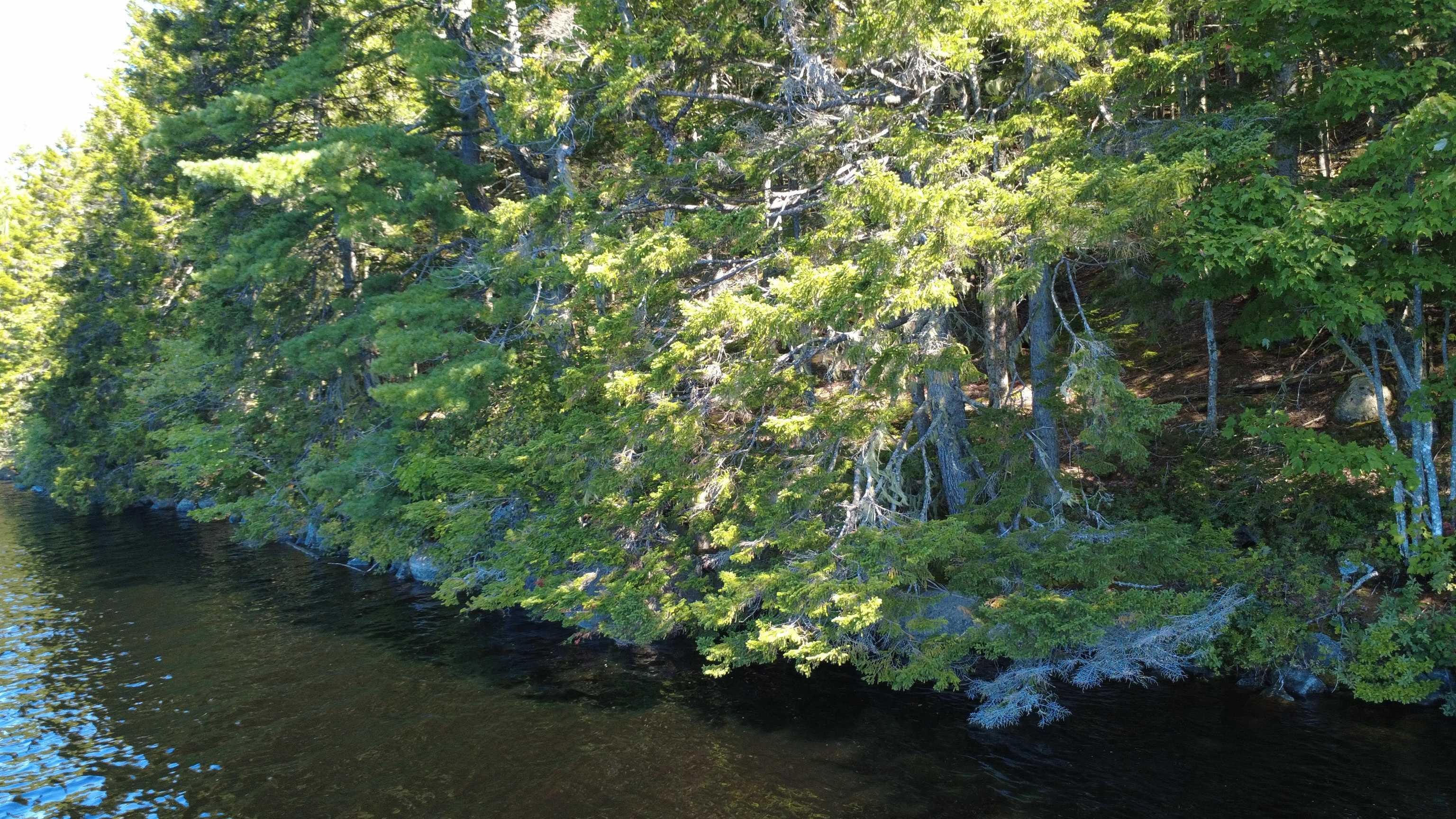 $99,900.00: Lot Vinegar Lake, Hubbards