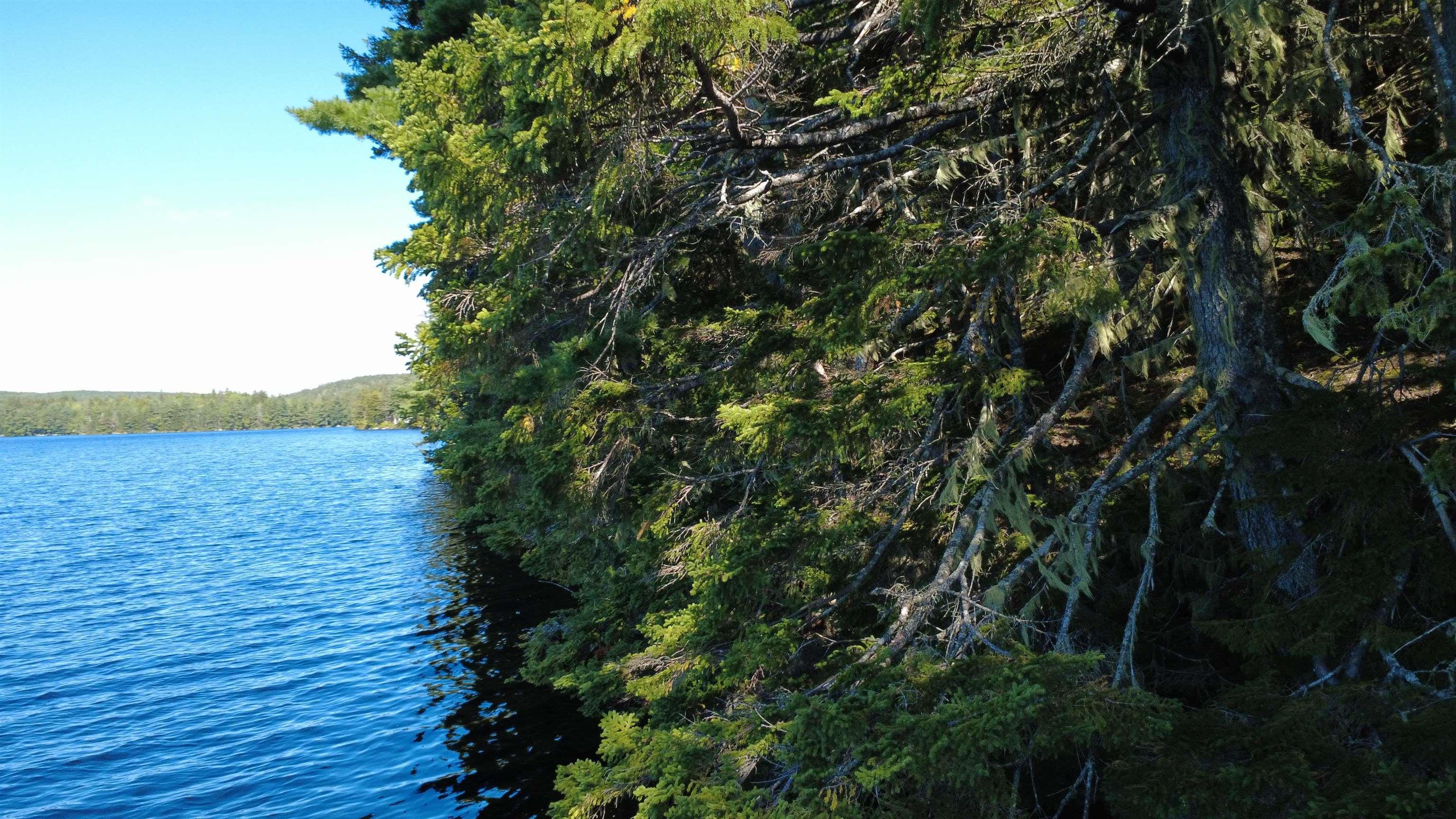 $99,900.00: Lot Vinegar Lake, Hubbards