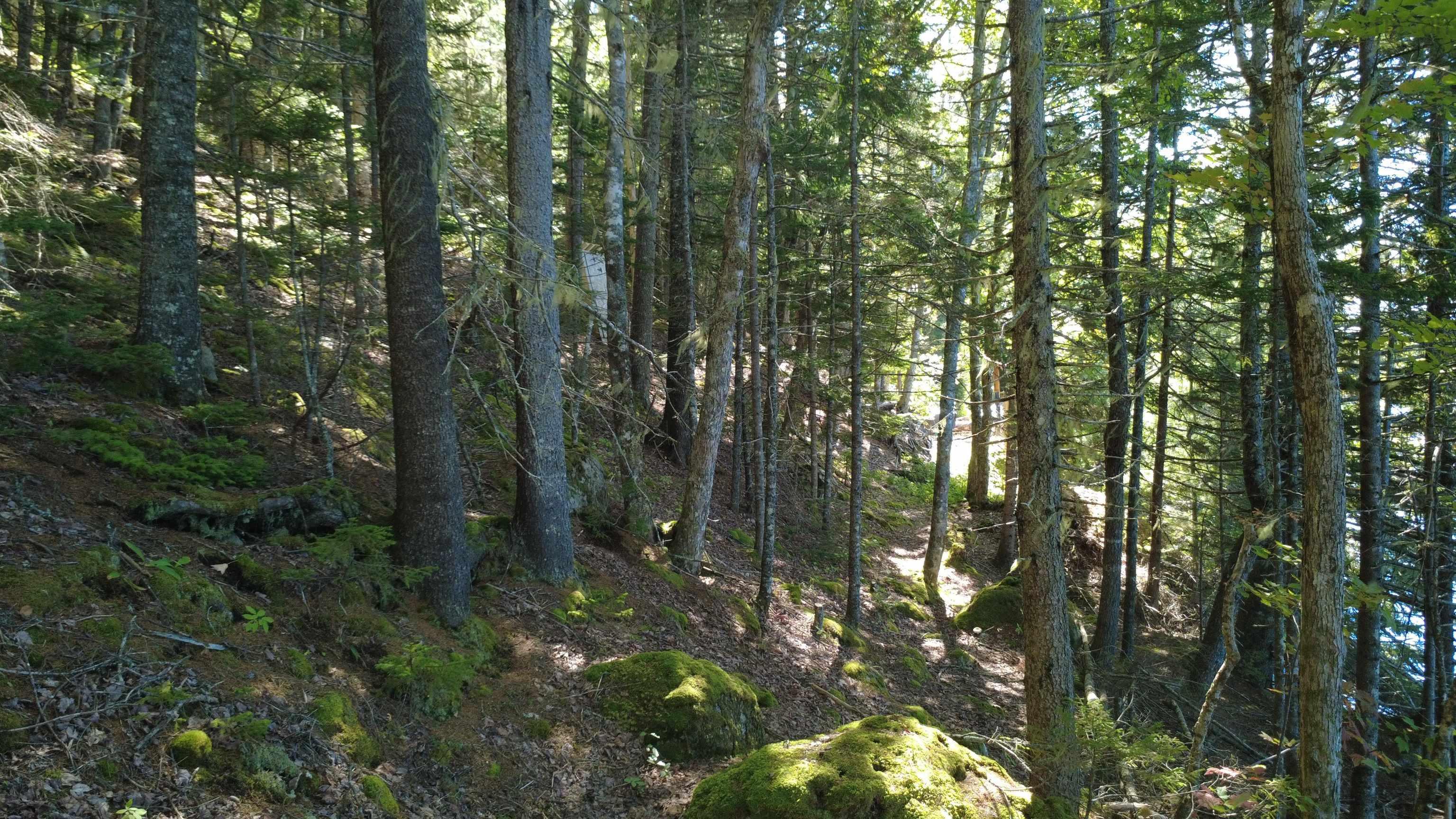 $99,900.00: Lot Vinegar Lake, Hubbards