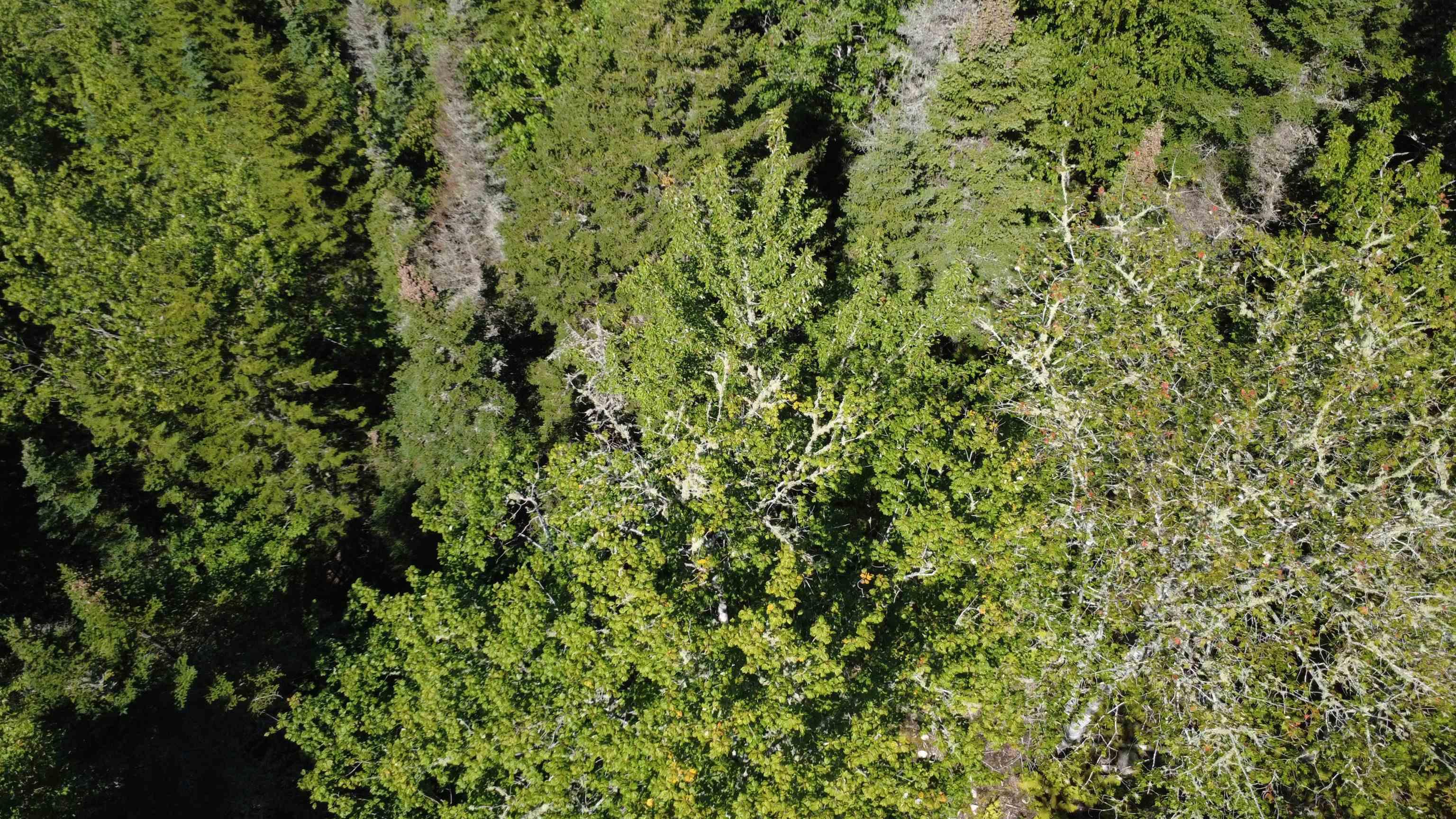 $99,900.00: Lot Vinegar Lake, Hubbards