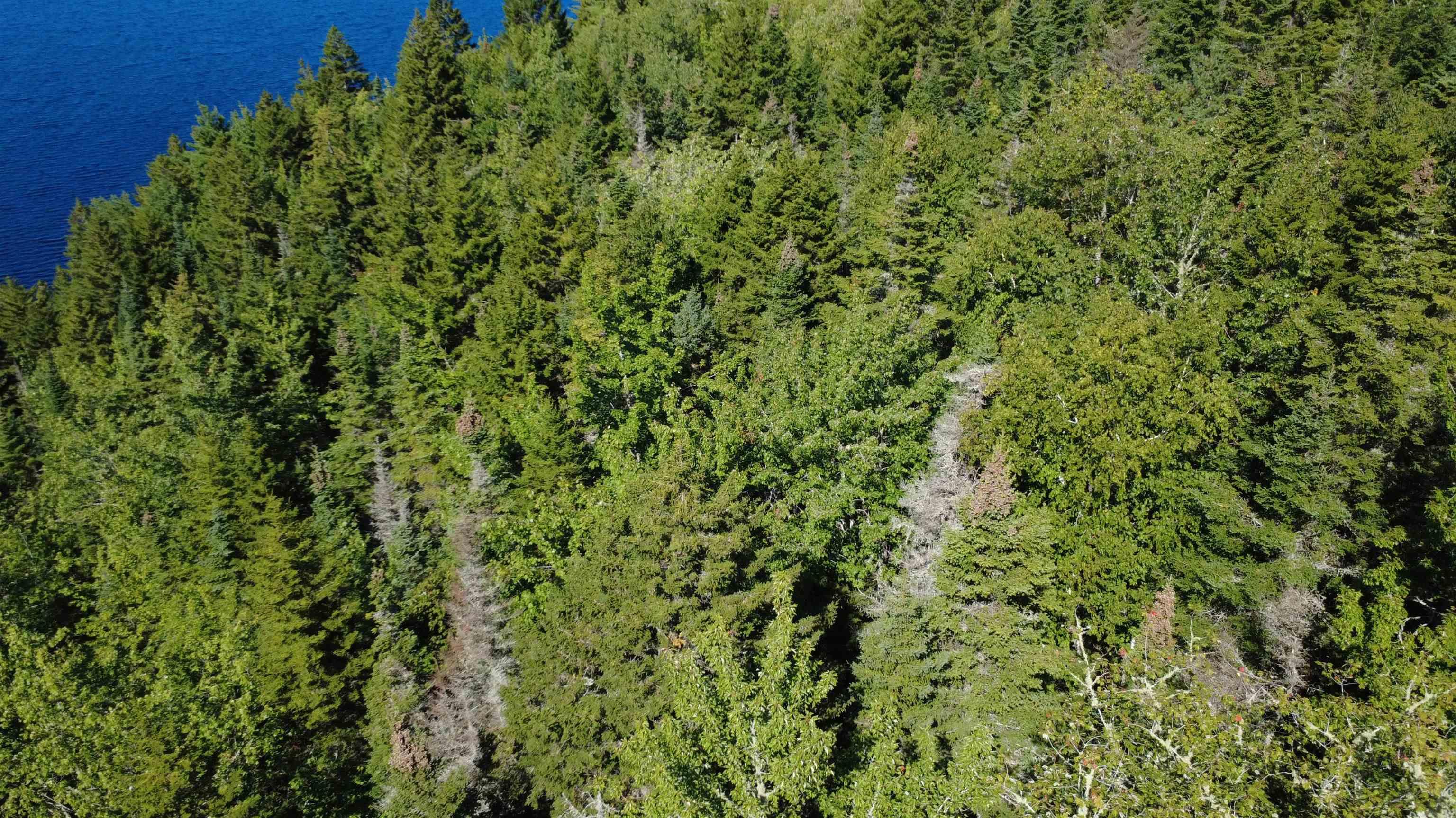 $99,900.00: Lot Vinegar Lake, Hubbards