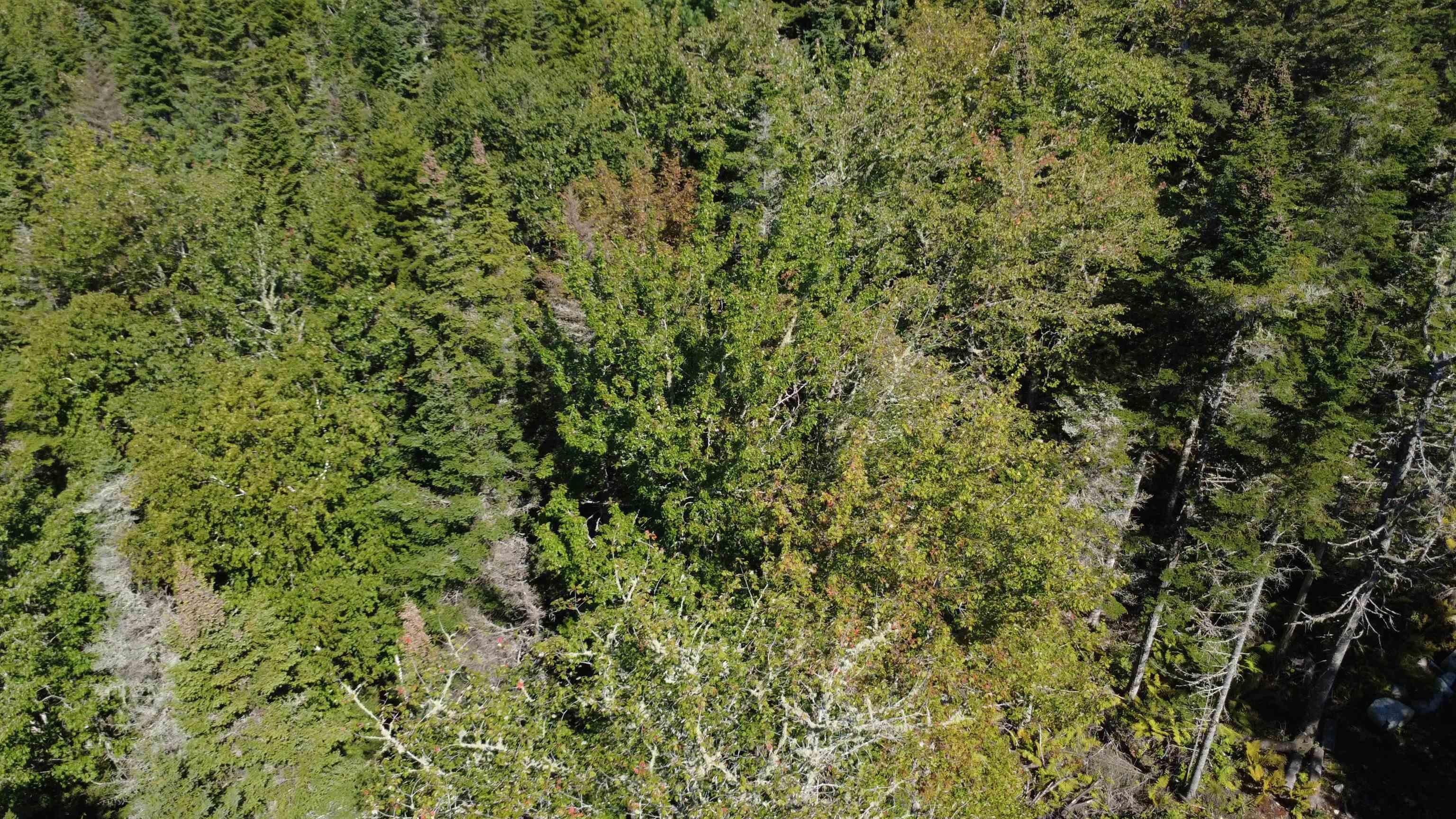 $99,900.00: Lot Vinegar Lake, Hubbards