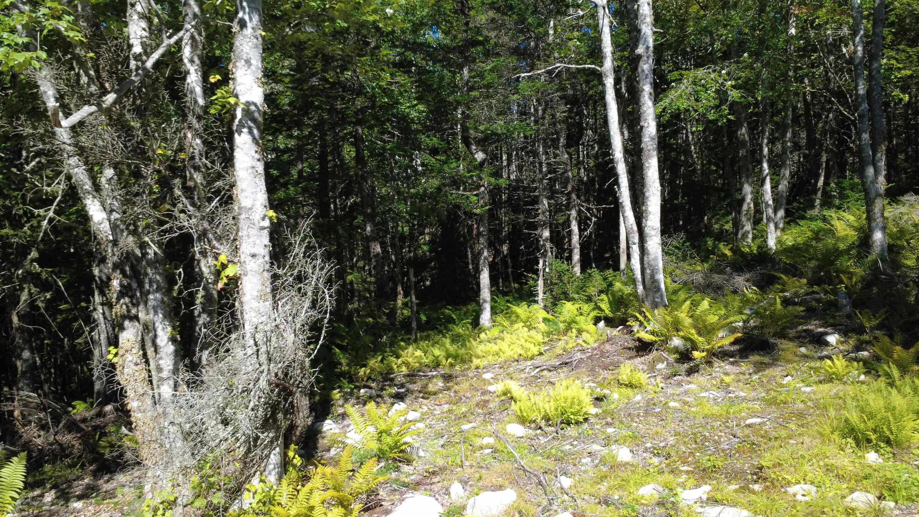 $99,900.00: Lot Vinegar Lake, Hubbards