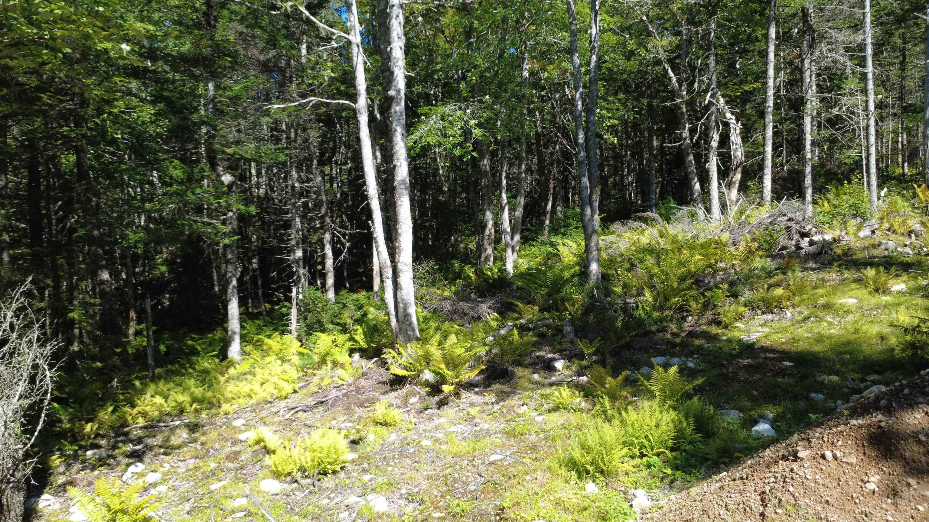 $99,900.00: Lot Vinegar Lake, Hubbards