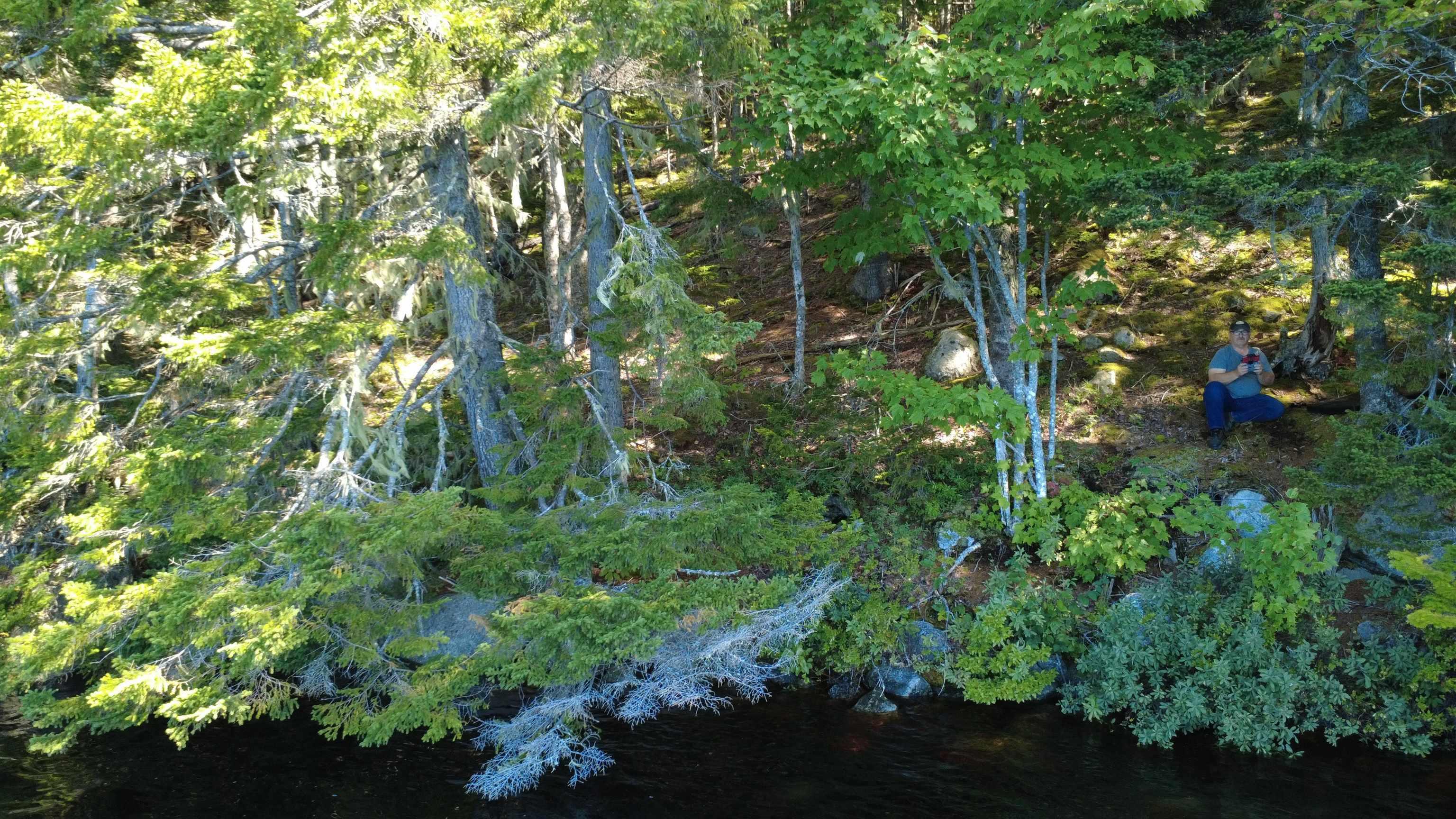 $99,900.00: Lot Vinegar Lake, Hubbards