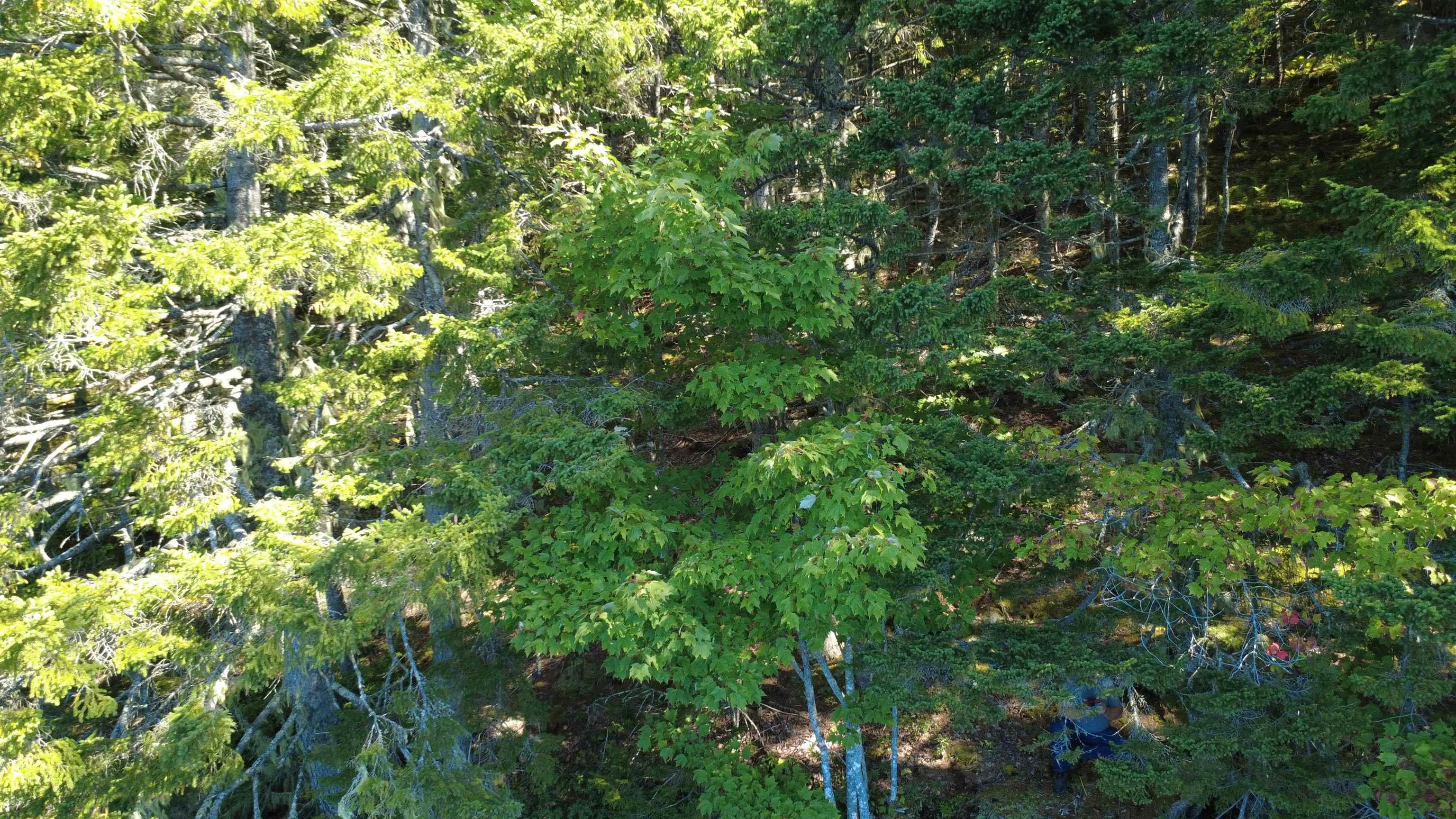 $99,900.00: Lot Vinegar Lake, Hubbards