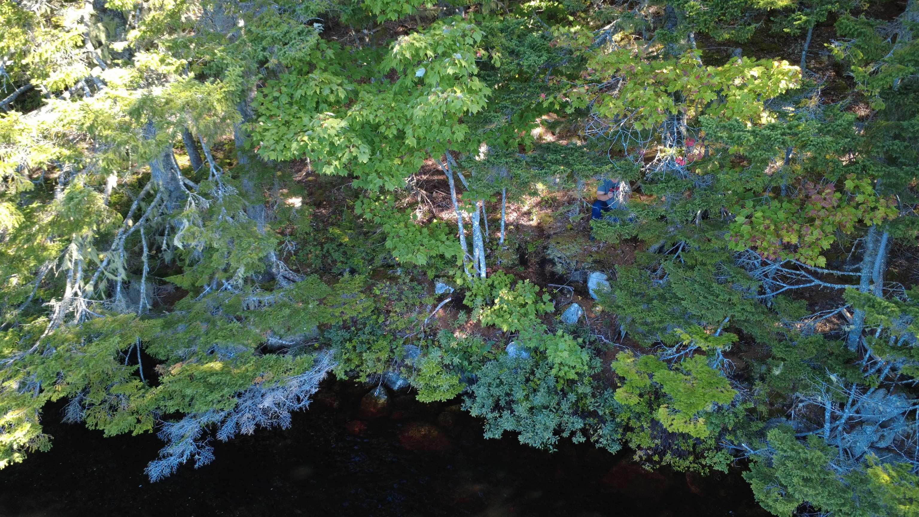 $99,900.00: Lot Vinegar Lake, Hubbards