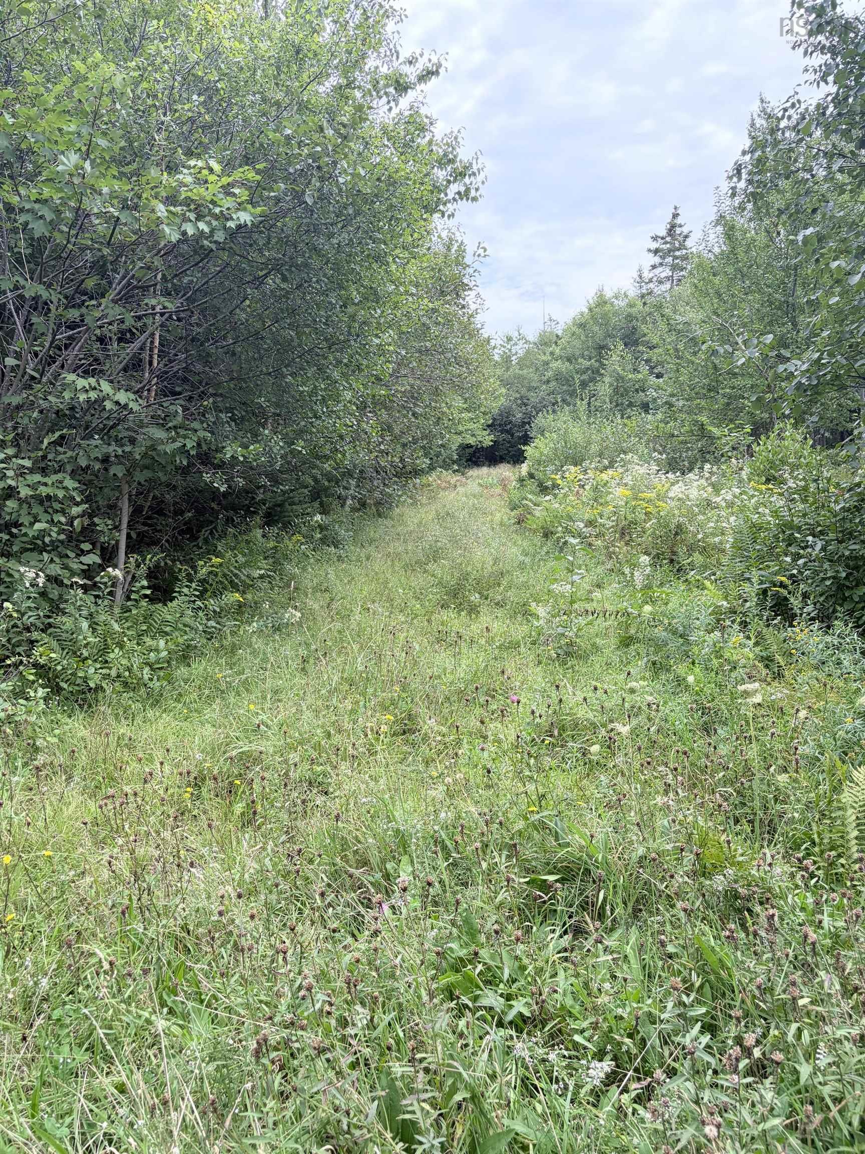 $120,000.00: Vacant Land (PID 80045784) Oak Park Road, Oak Park