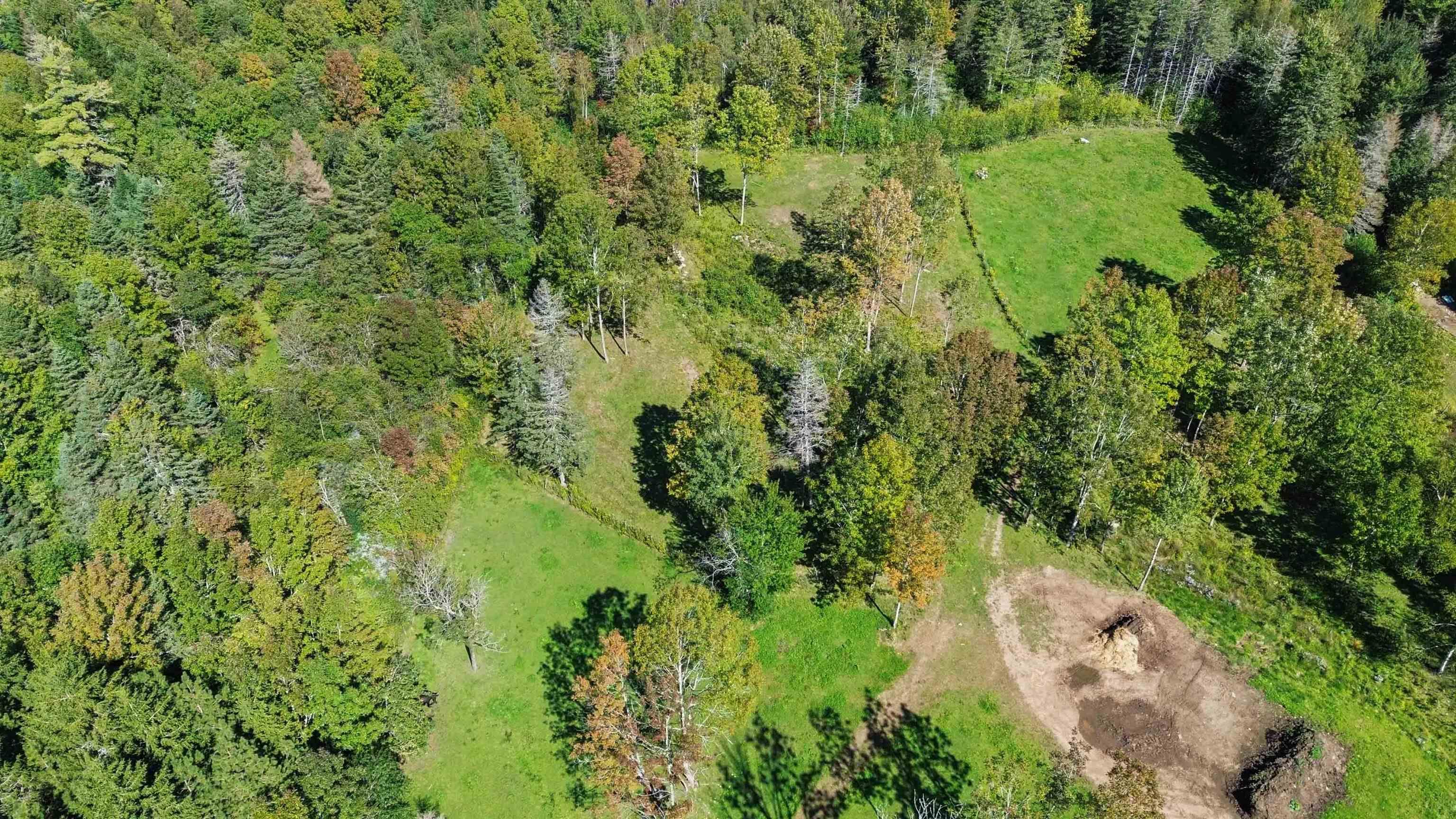 $629,900.00: 1106 Tetzlaff Road, Canaan