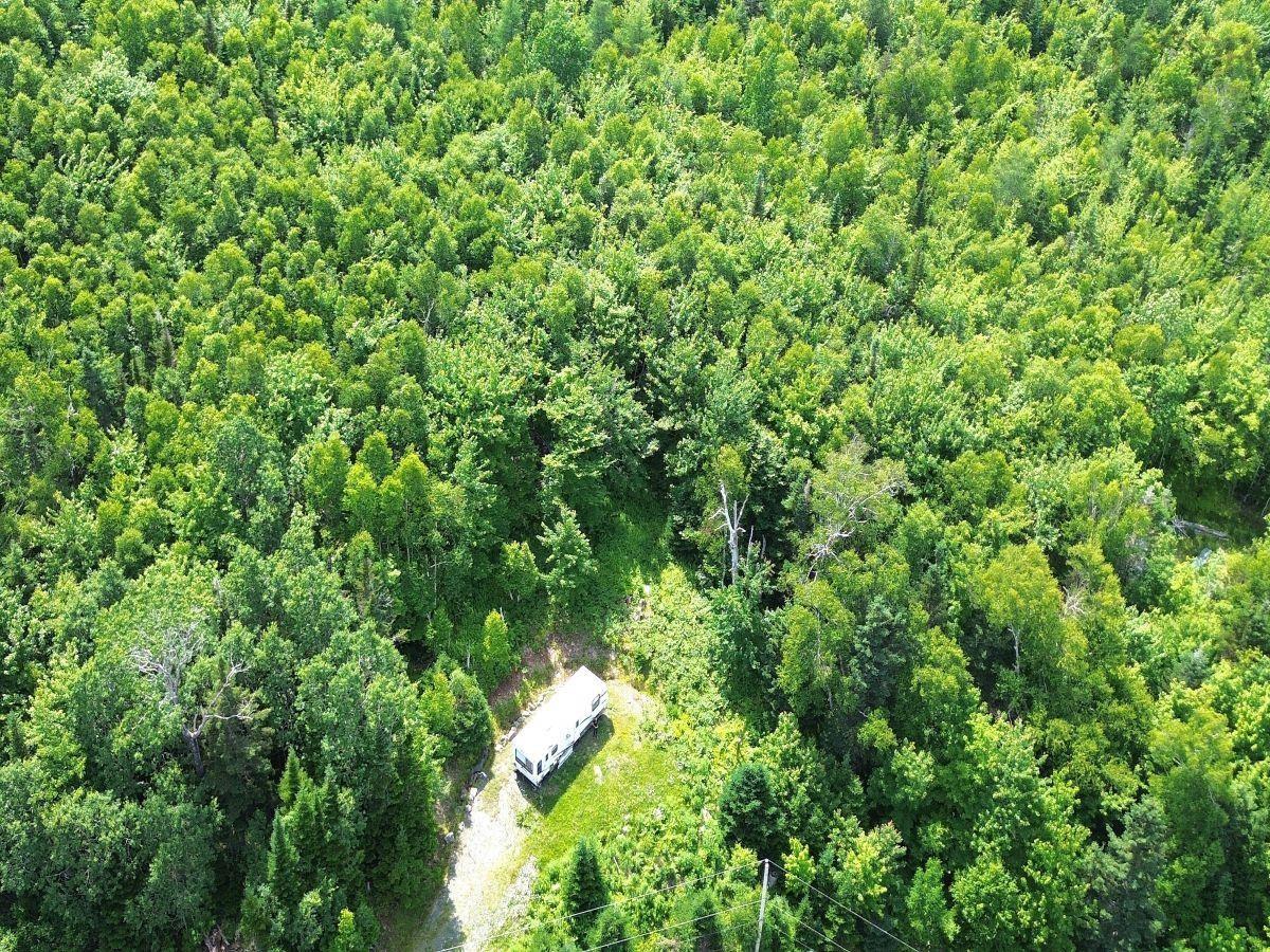 $52,000.00: Nature Dream Boulevard, Roberta